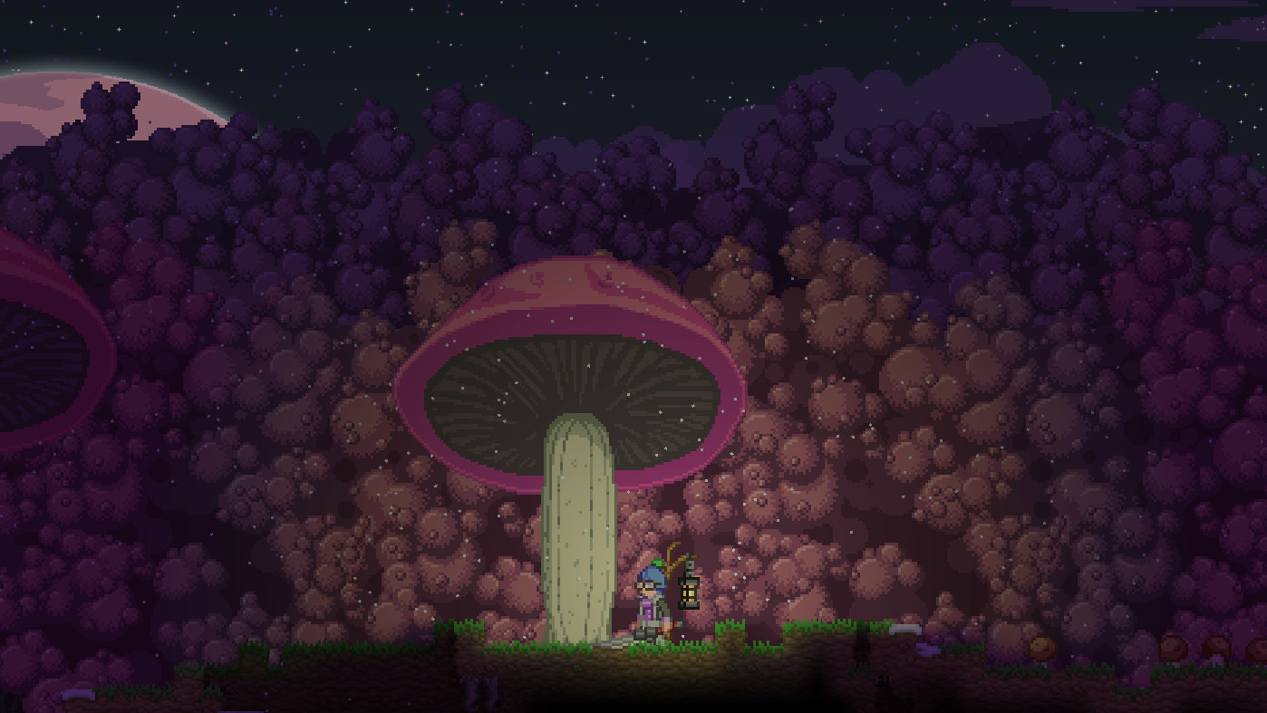 1617844729486511.jpg 星界边境/Starbound