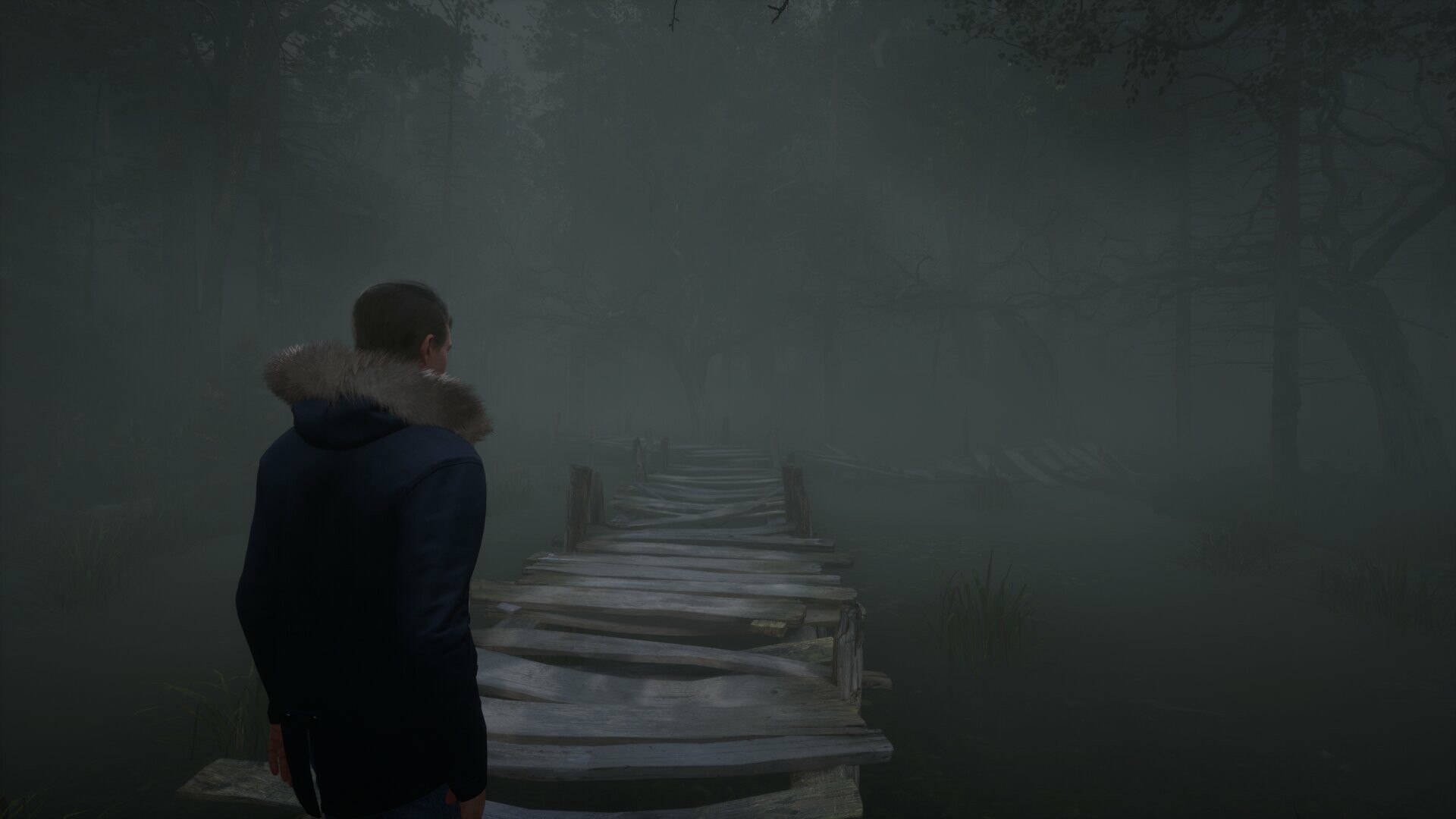 1698336965784834.jpg 流浪之魂/Stray Souls