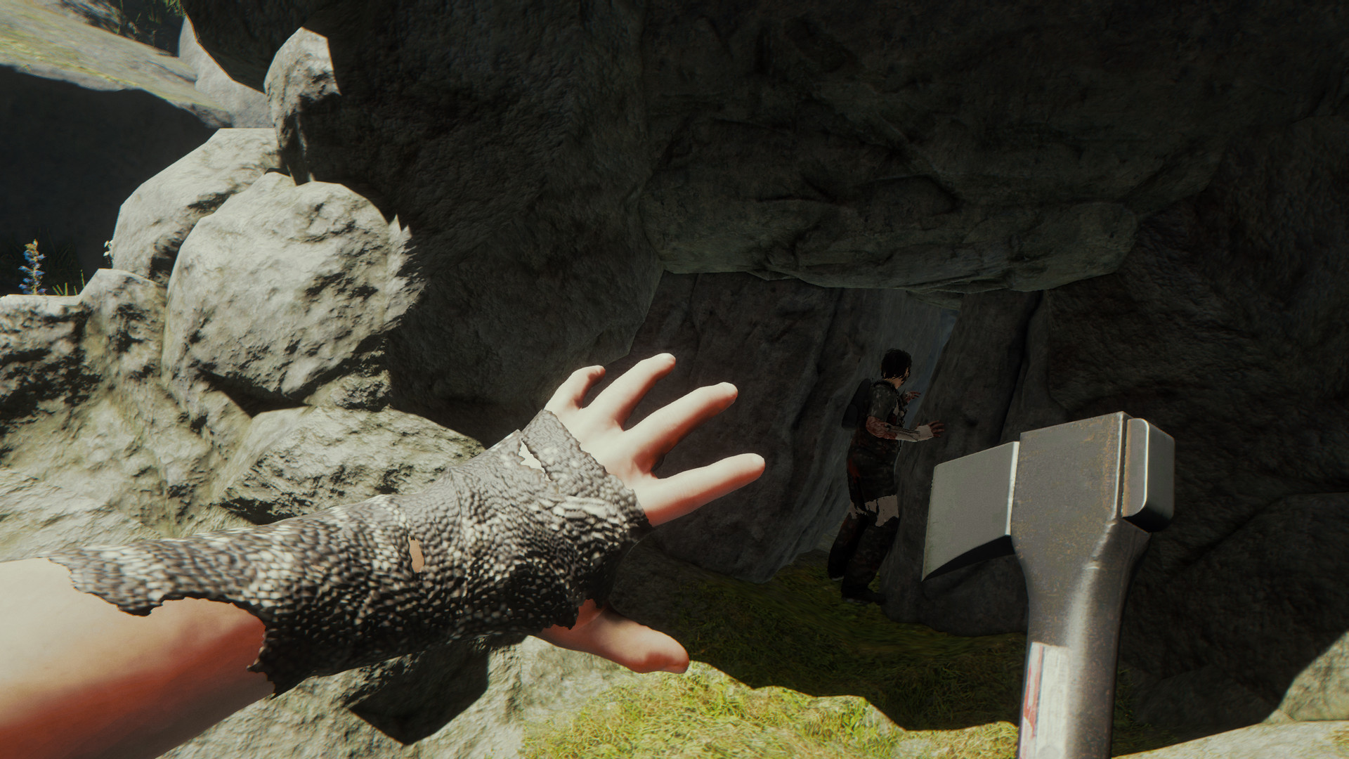 复体/集群/The Complex