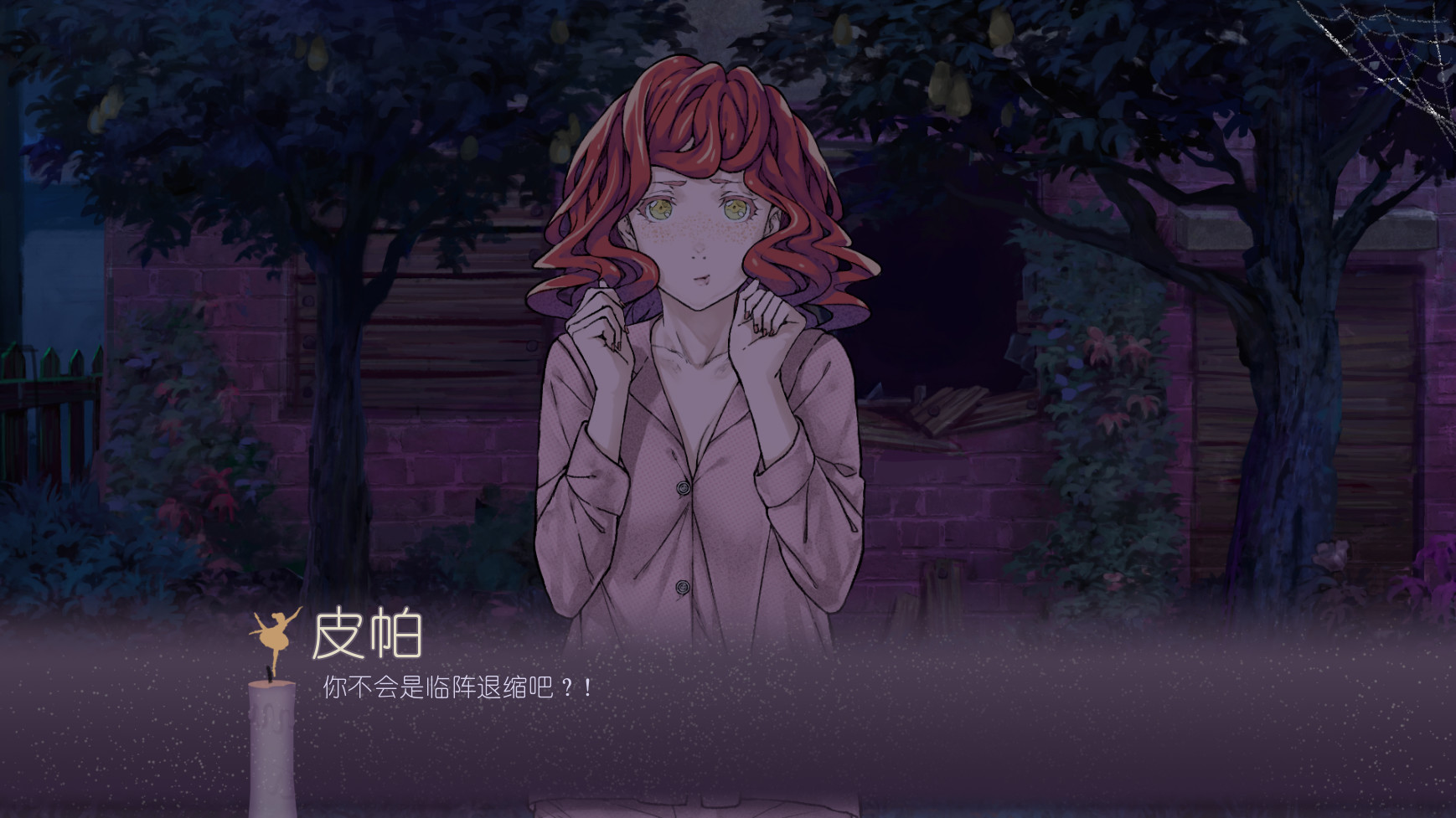 黑暗中的仪式/Rituals in the Dark