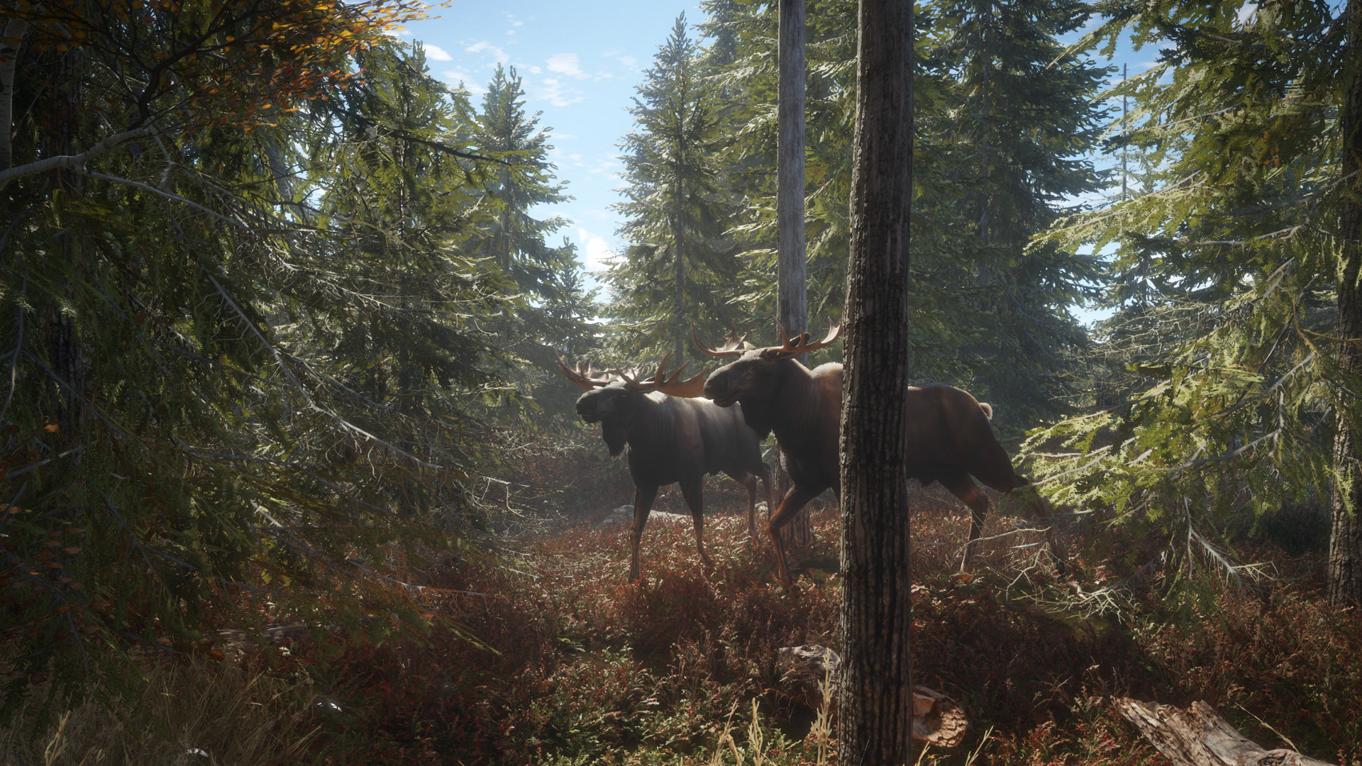 1617204848589177.jpg 猎人:荒野的召唤/theHunter: Call of the Wild