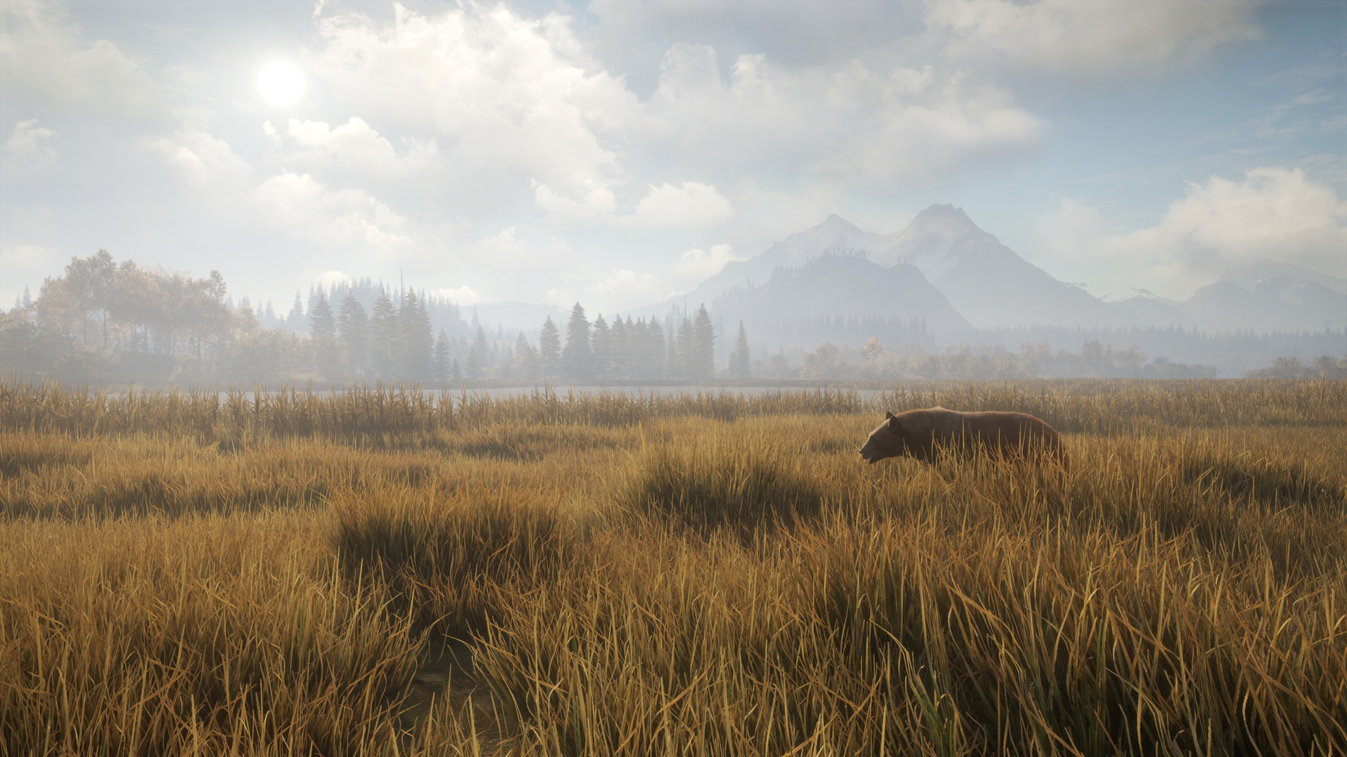 1617204848750237.jpg 猎人:荒野的召唤/theHunter: Call of the Wild