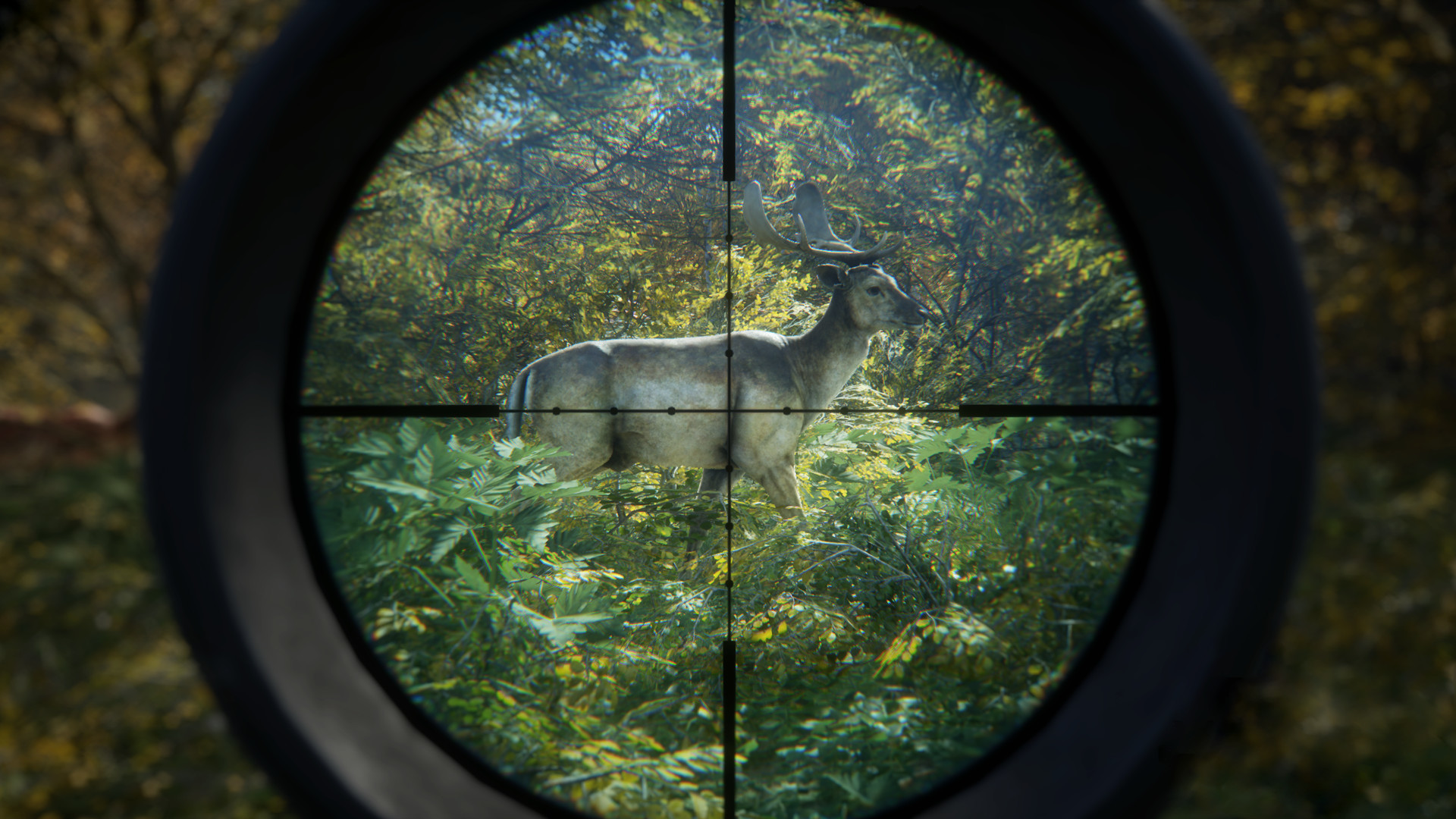 1617204848110861.jpg 猎人:荒野的召唤/theHunter: Call of the Wild