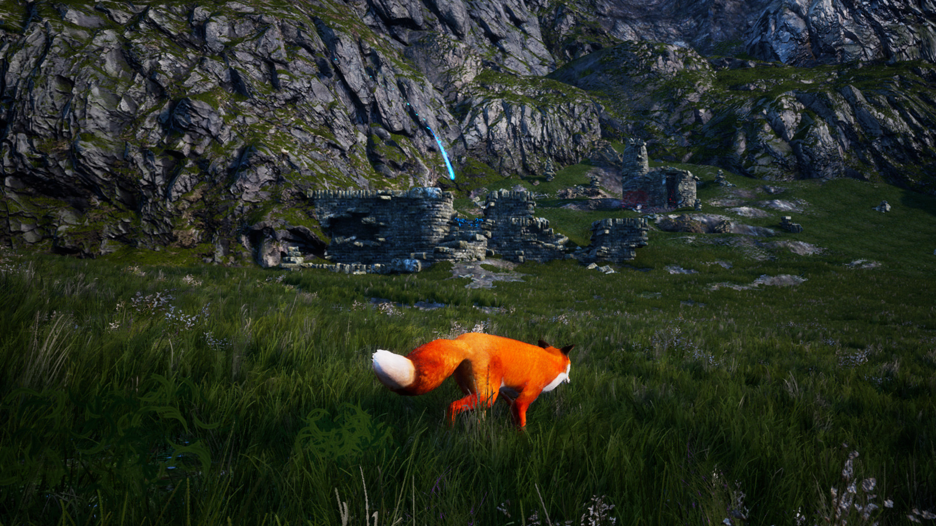1622611326696594.jpg 北方之魂/北方之灵/灵狐之魂/红色狐狸/Spirit of the North