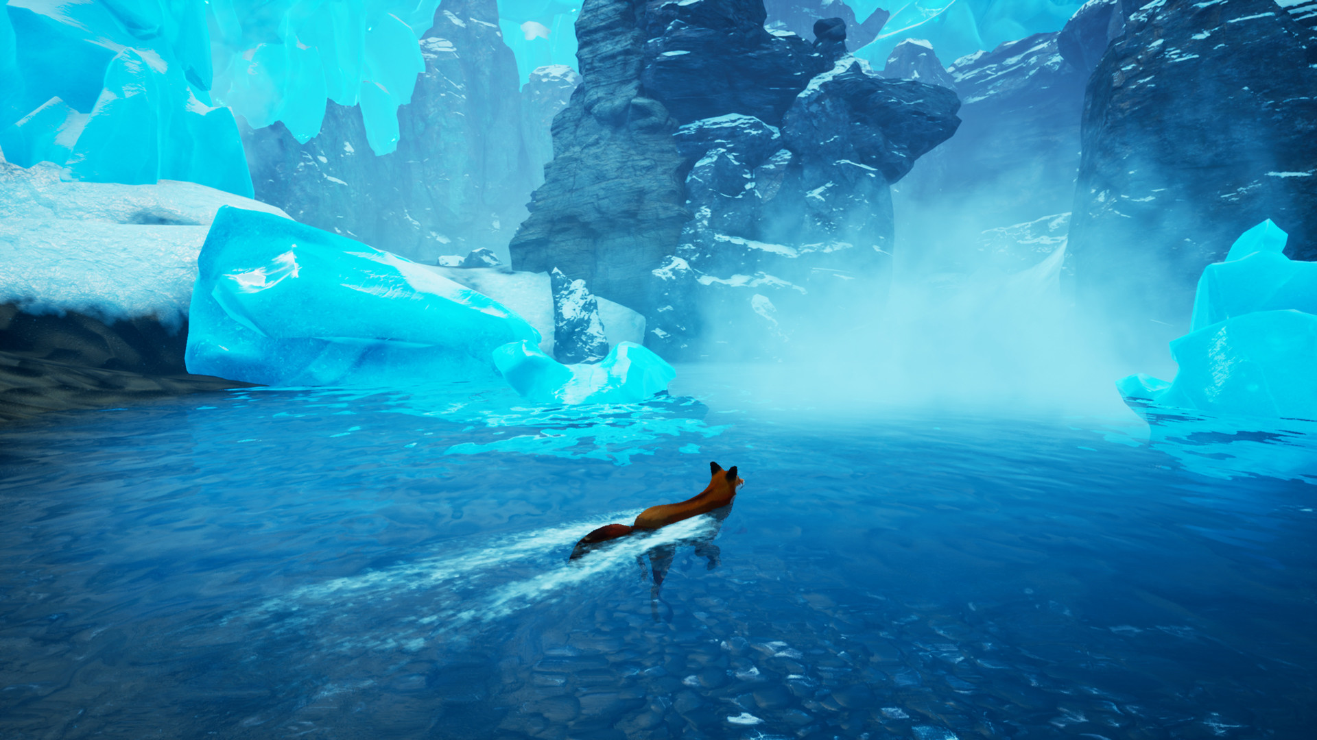 1622611326260243.jpg 北方之魂/北方之灵/灵狐之魂/红色狐狸/Spirit of the North