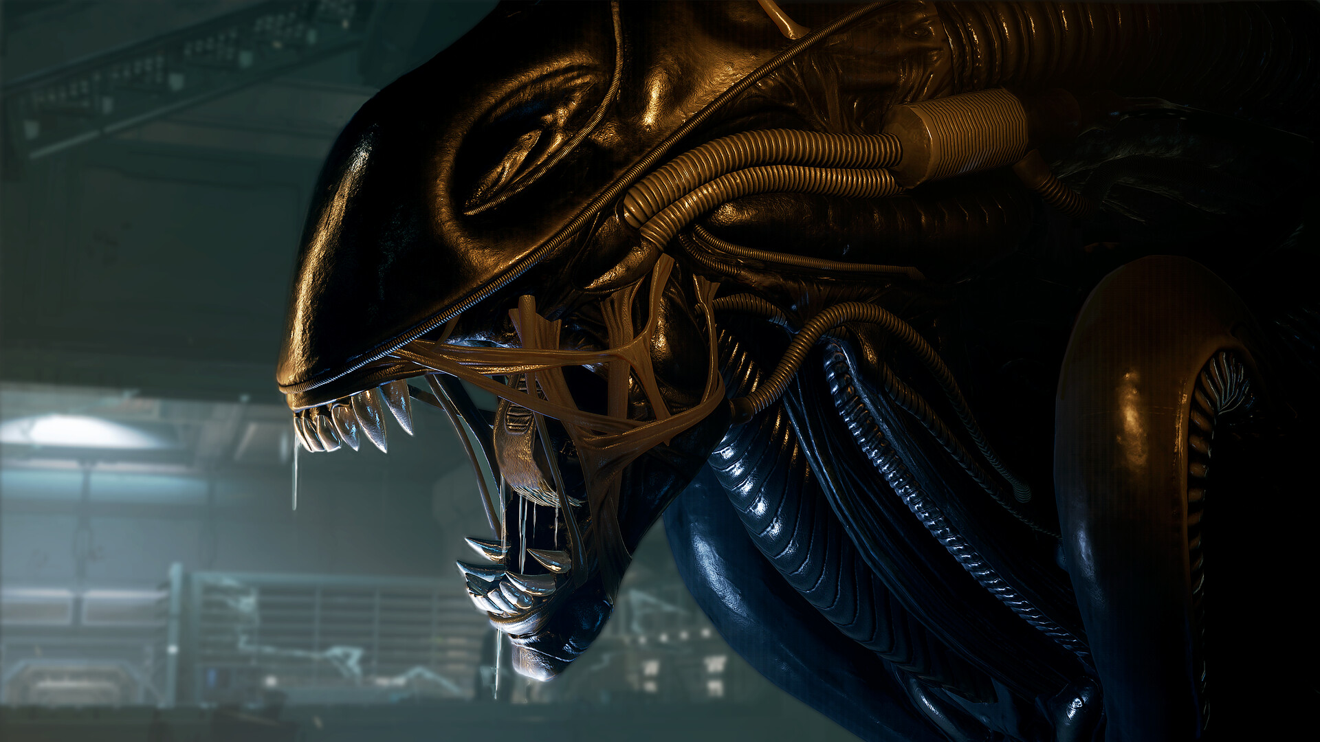 1734750017896491.jpg 异形:侠盗入侵/Alien: Rogue Incursion/支持VR
