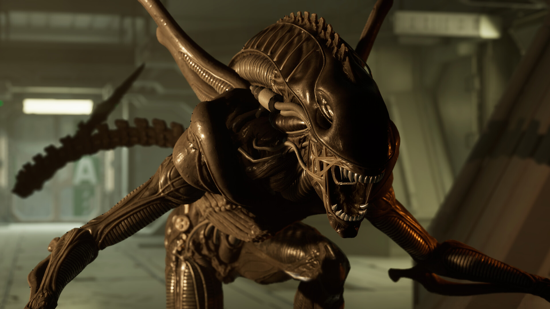 1734750018932417.jpg 异形:侠盗入侵/Alien: Rogue Incursion/支持VR