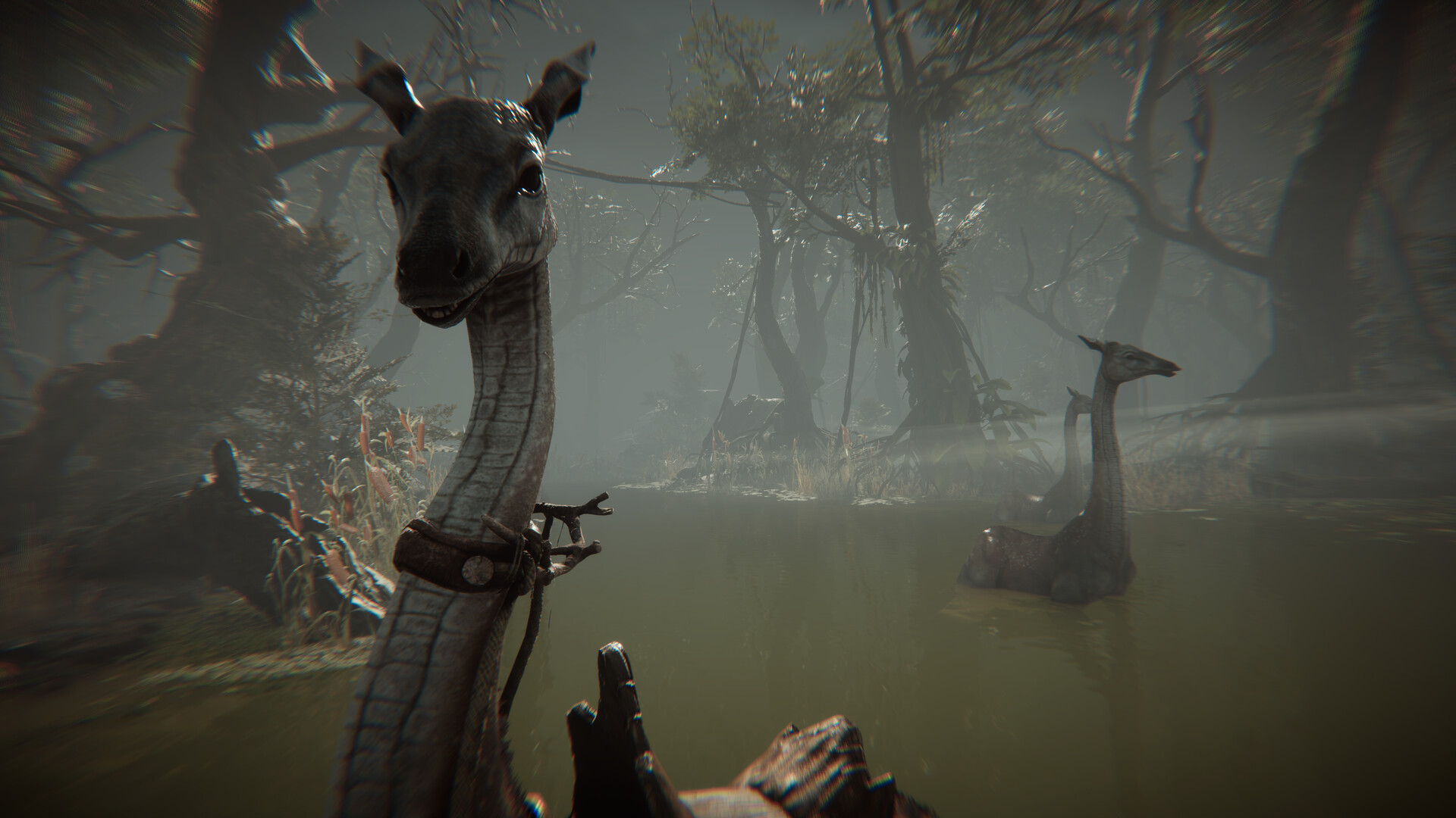 Amerzone：探险家的记忆传承/Amerzone - The Explorer's Legacy