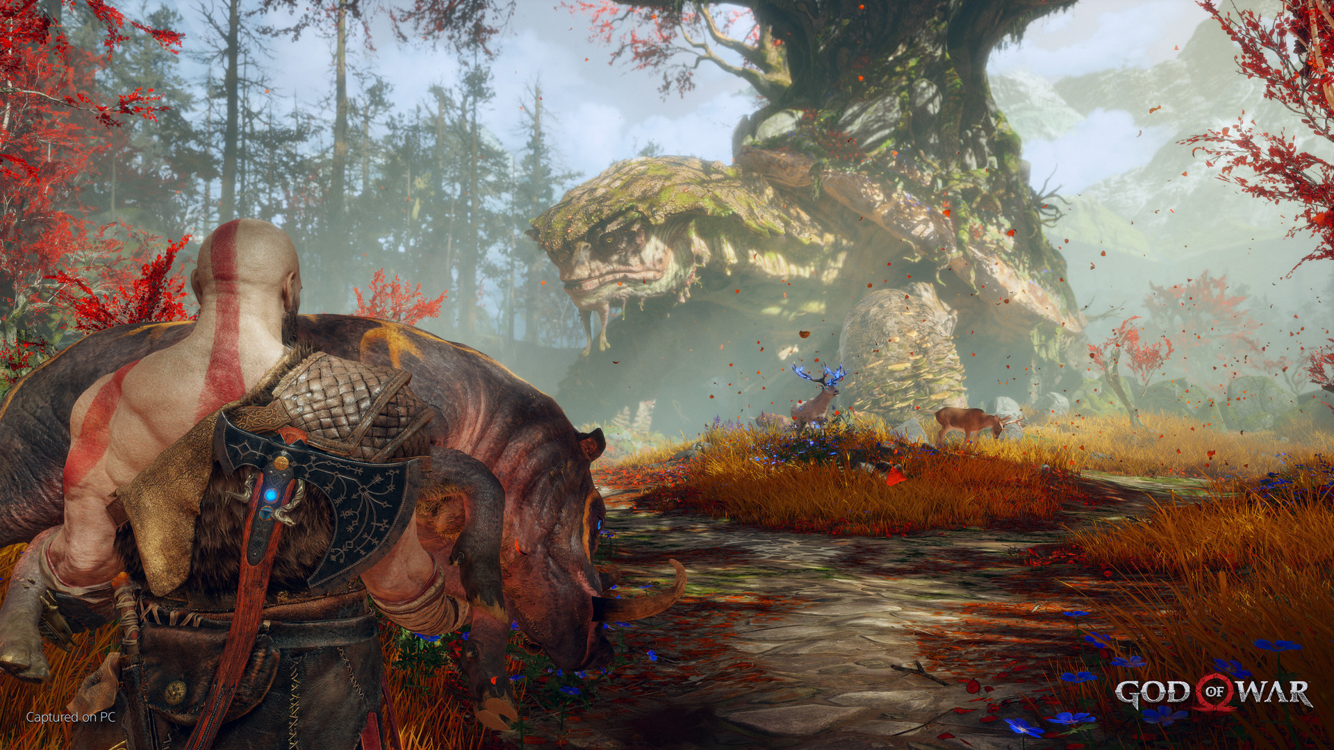 1642207524503652.jpg 战神4/God of War