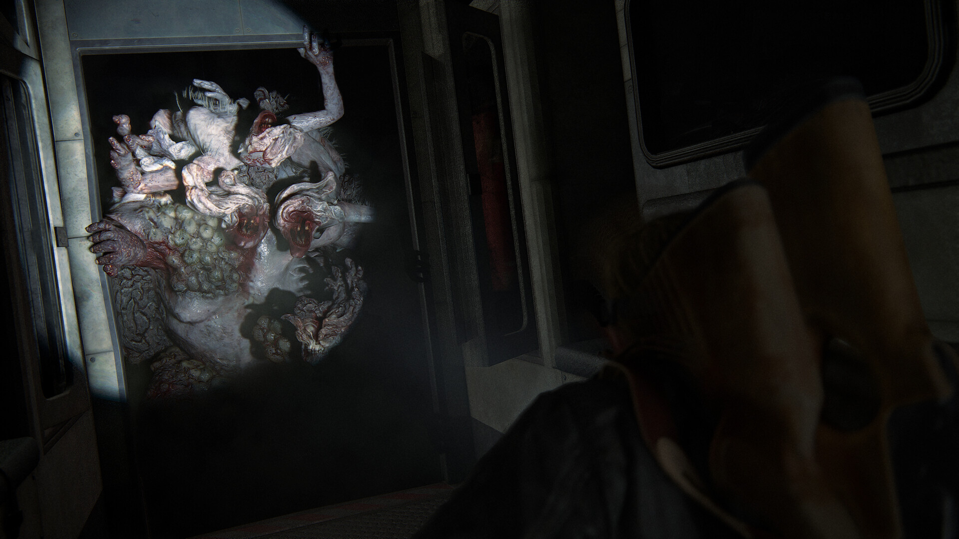 最后生还者2:重制版/美国末日2/The Last of Us Part II Remastered
