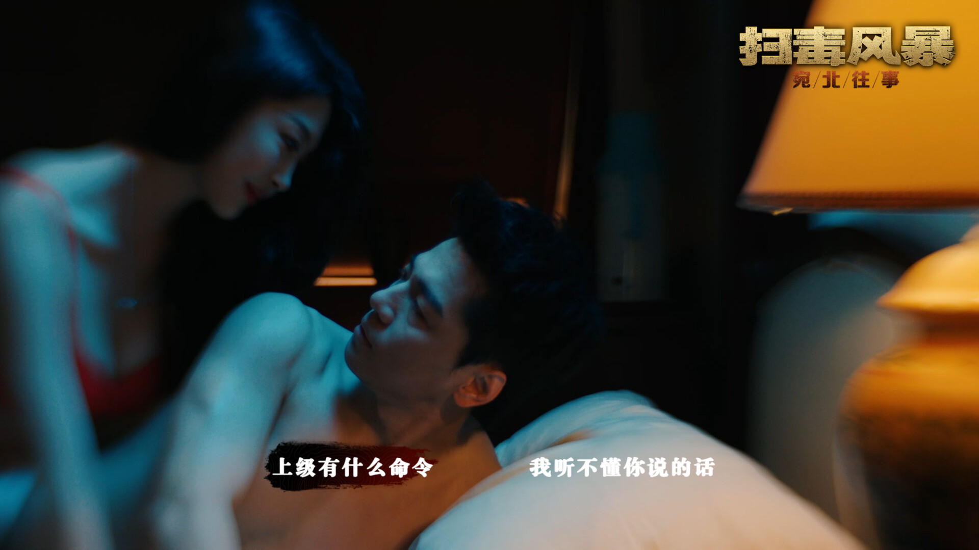 扫毒风暴:宛北往事/The Narcotic Operation