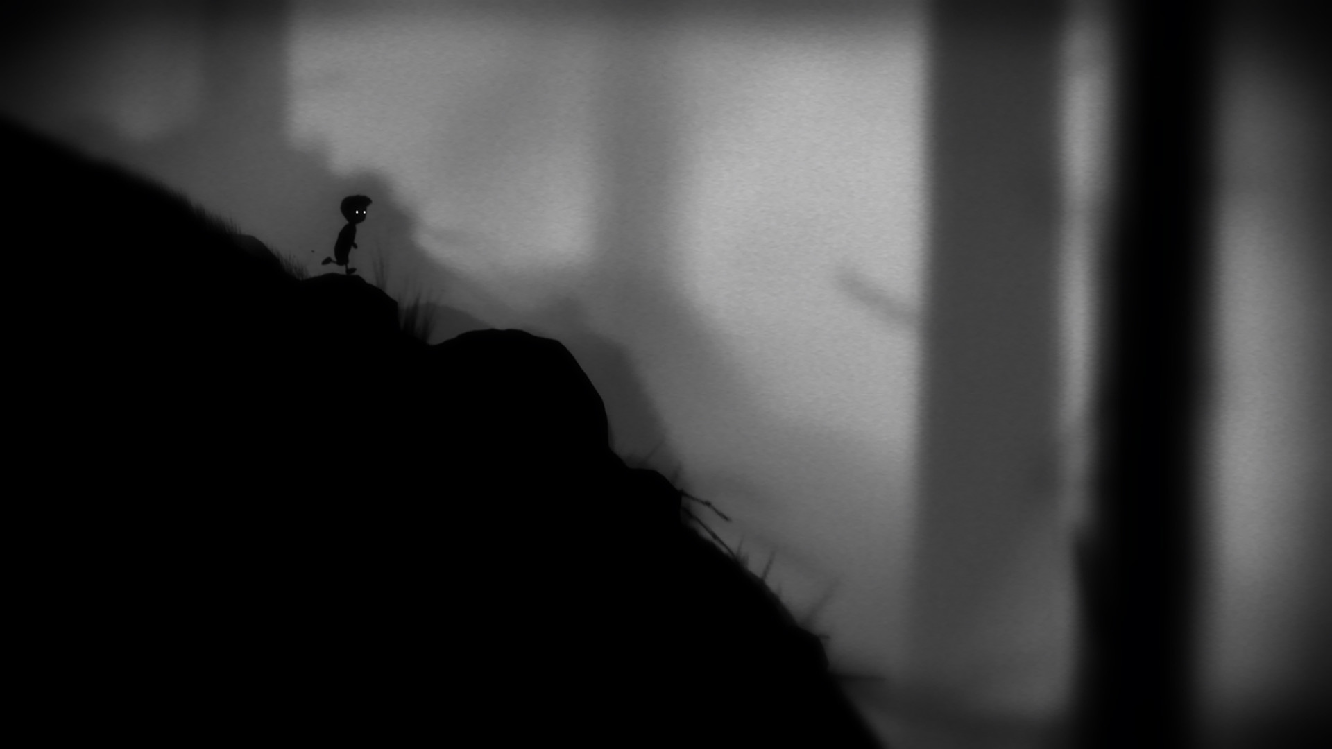 1620874887833563.jpg 地狱边境/Limbo