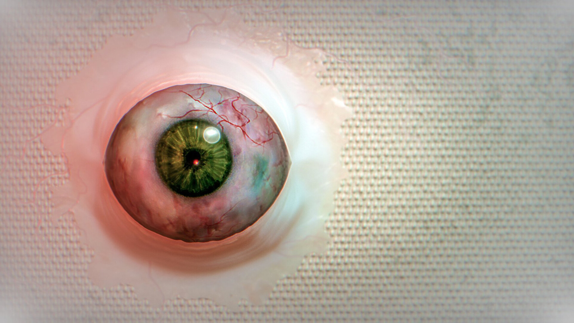 破碎怪谈：切勿直视/BrokenLore: DON'T WATCH