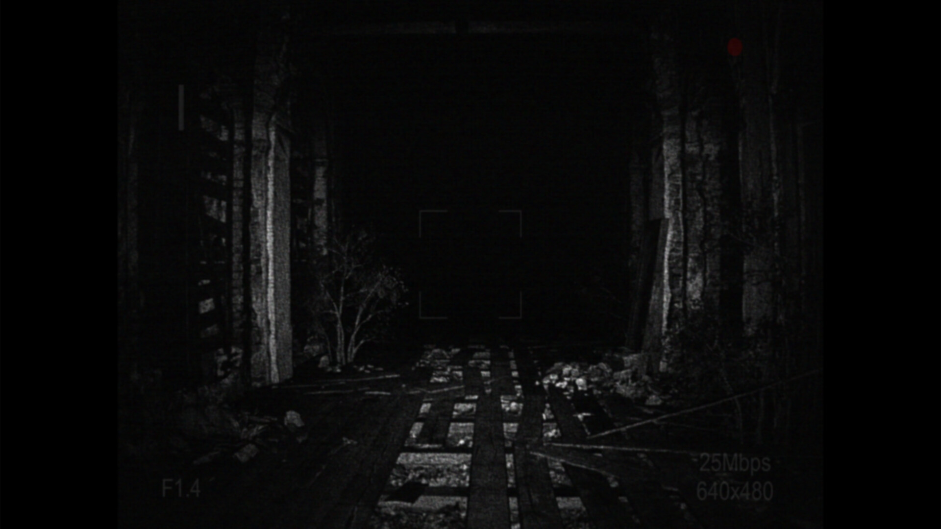[录制] 荒芜/[REC] Desolation