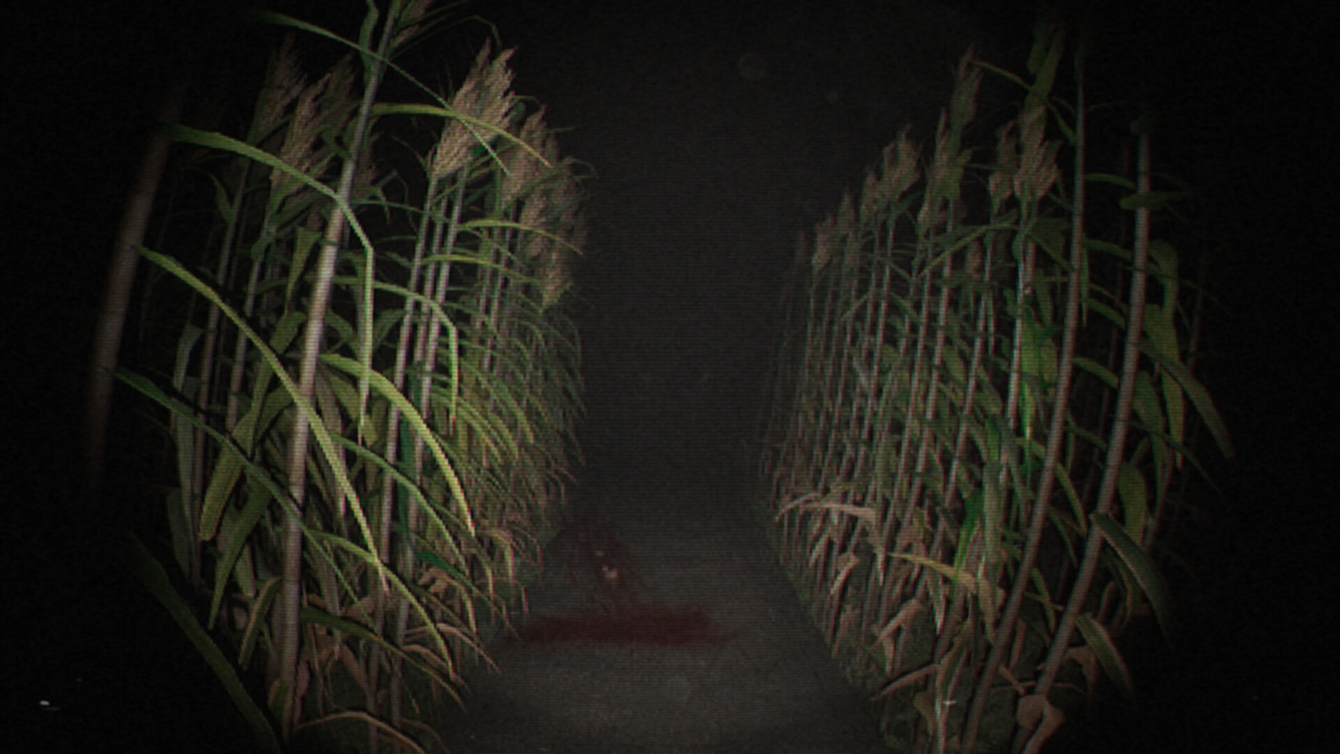 诡影实录/Unknown Tapes