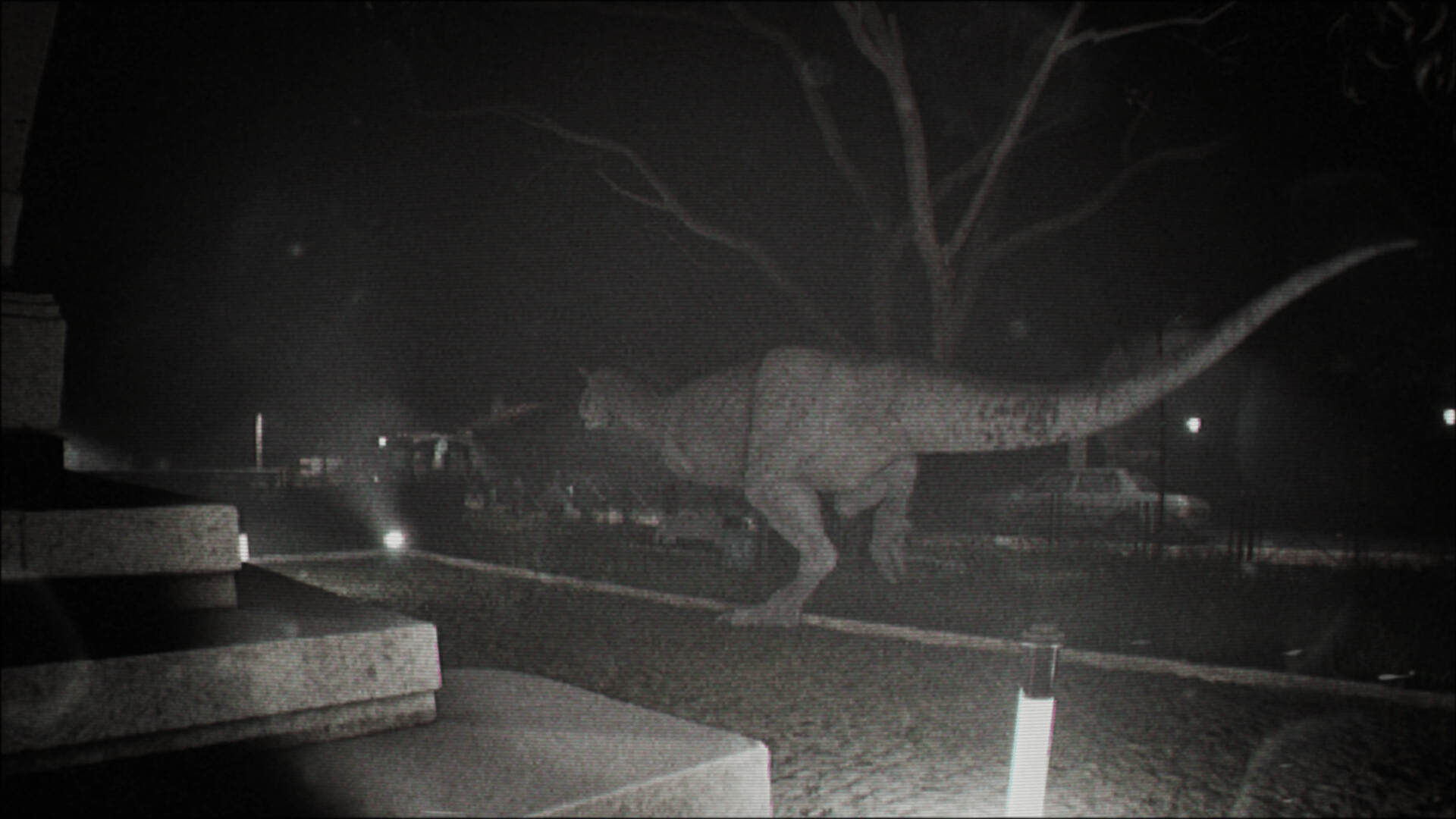 诡影实录/Unknown Tapes