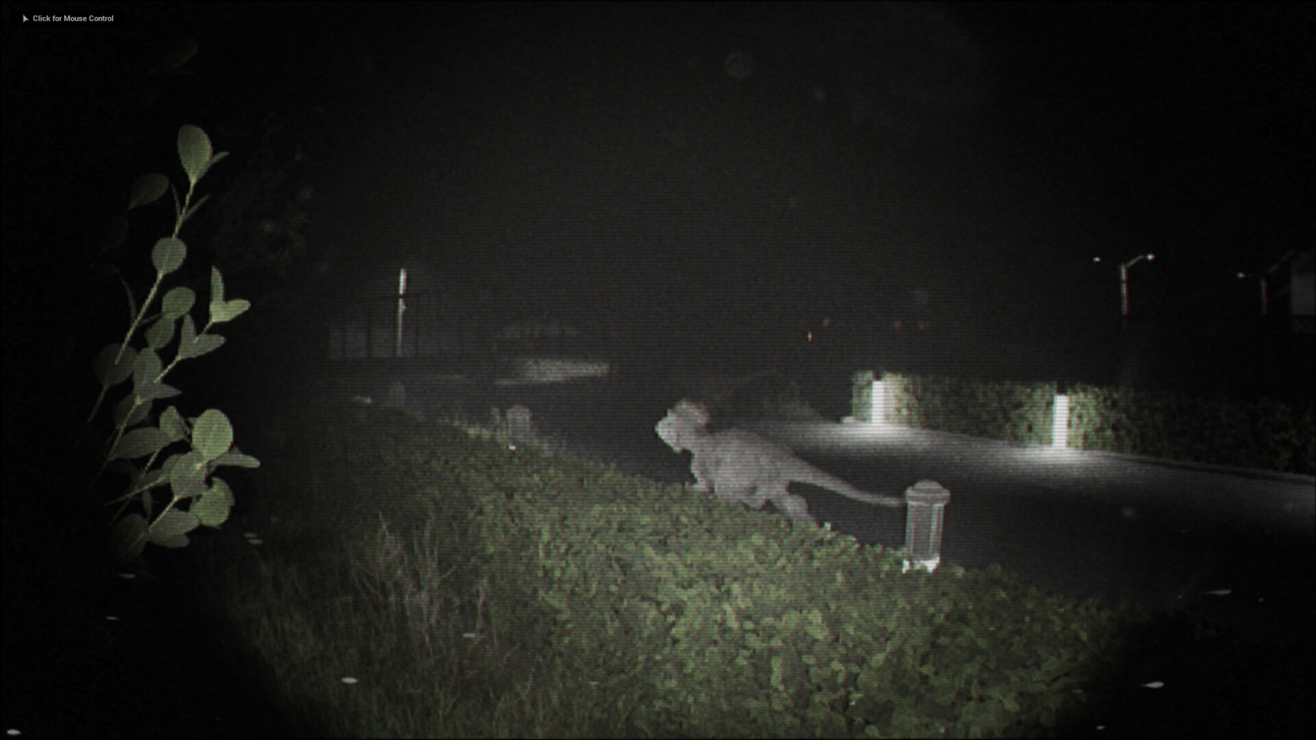 诡影实录/Unknown Tapes