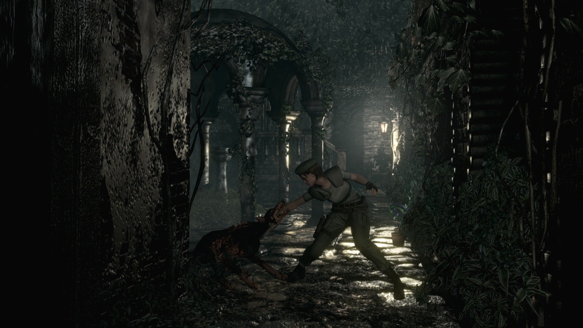 生化危机1:高清重制版/Resident Evil Biohazard HD REMASTER