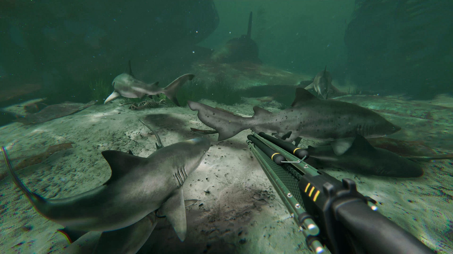 1675168288196467.jpg 死在水中2/Death in the Water 2