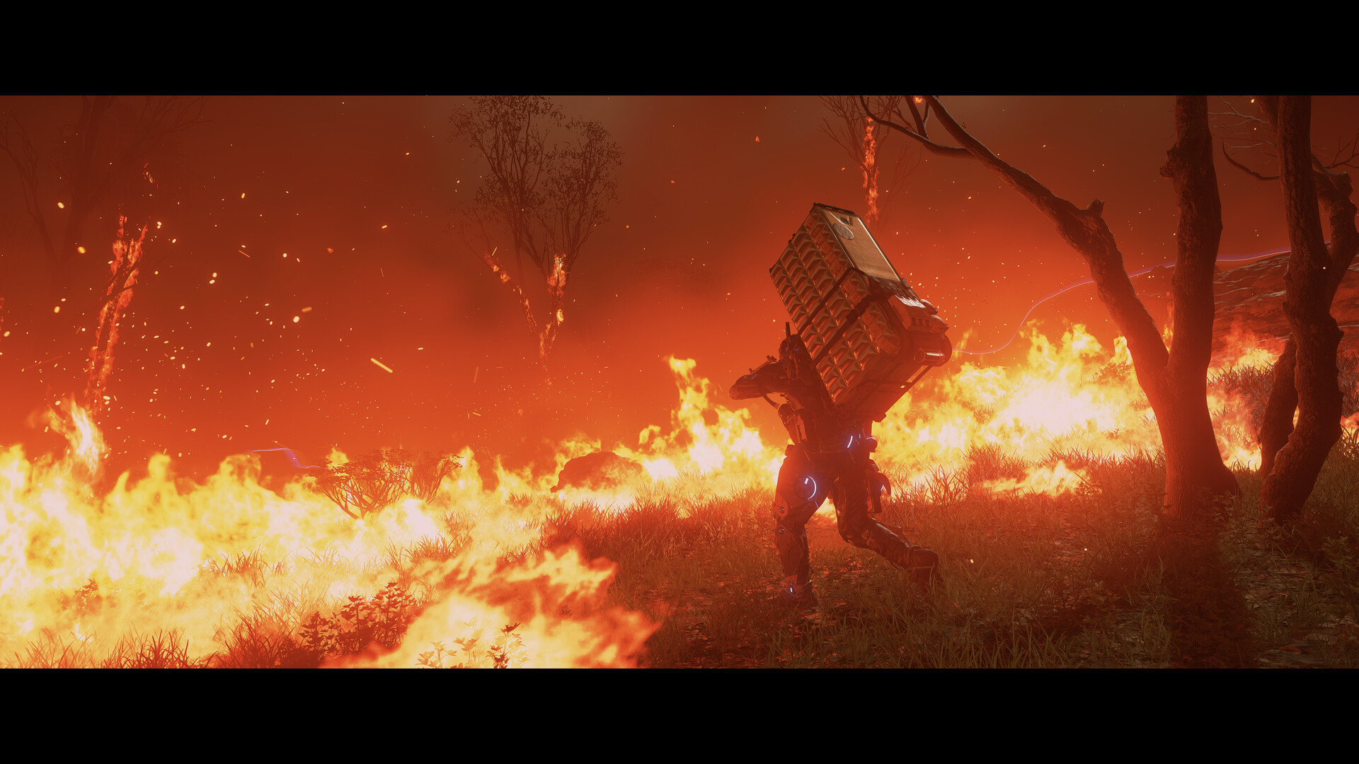 死亡搁浅2:冥滩之上/DEATH STRANDING 2: ON THE BEACH