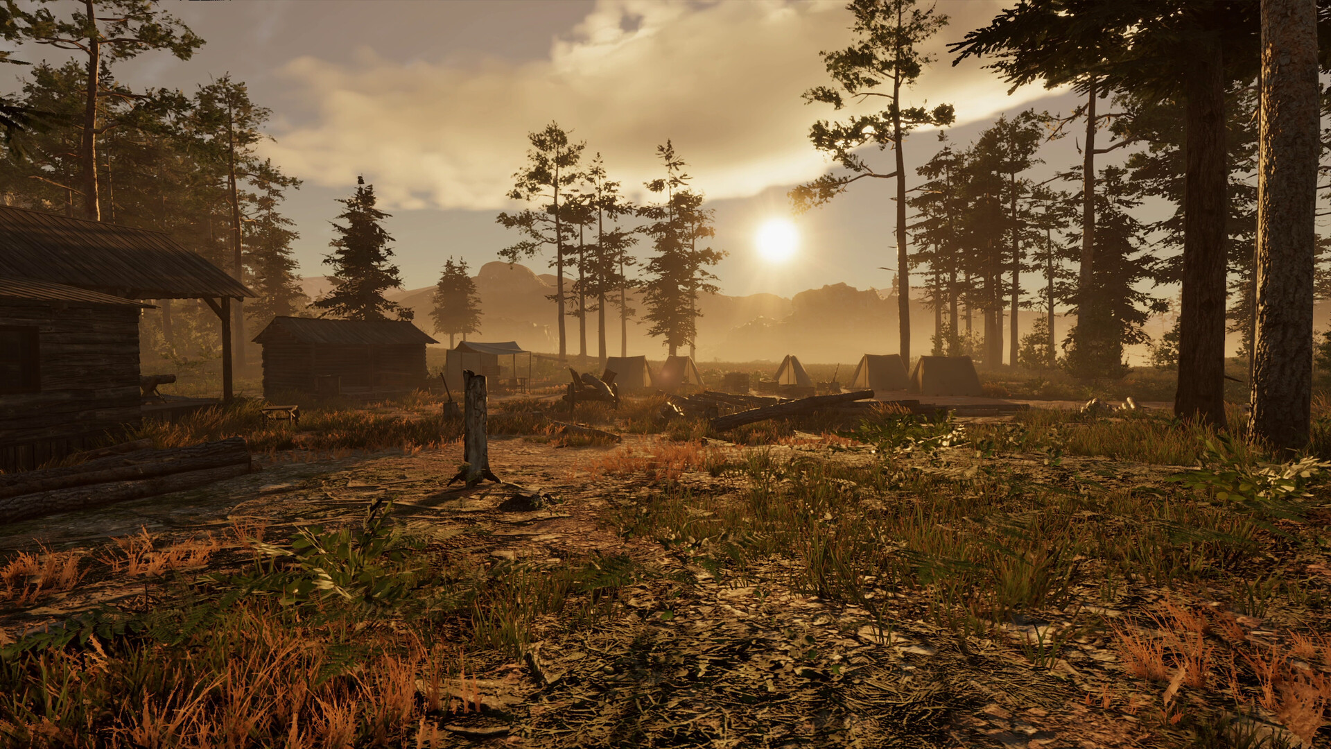 狂野西部：传承/Wild West Legacy