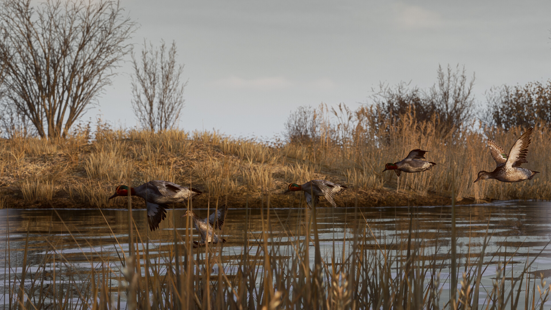 BULT：狩猎模拟器/BULT: Hunting simulator