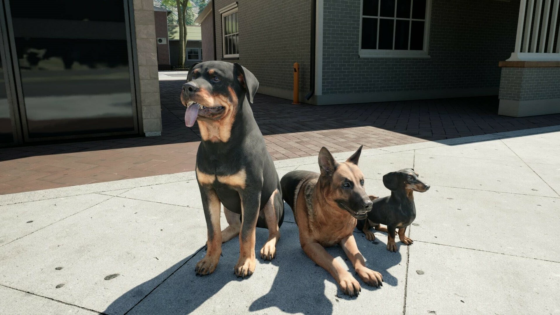 牧场模拟器/Ranch Simulator