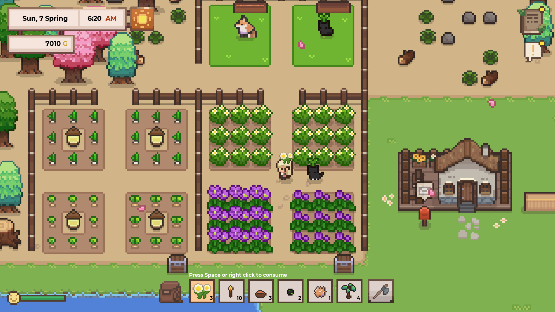 研究物语/Research Story