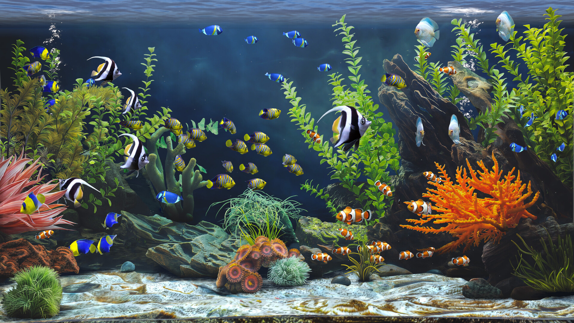 禅意水族馆/Zen Aquarium