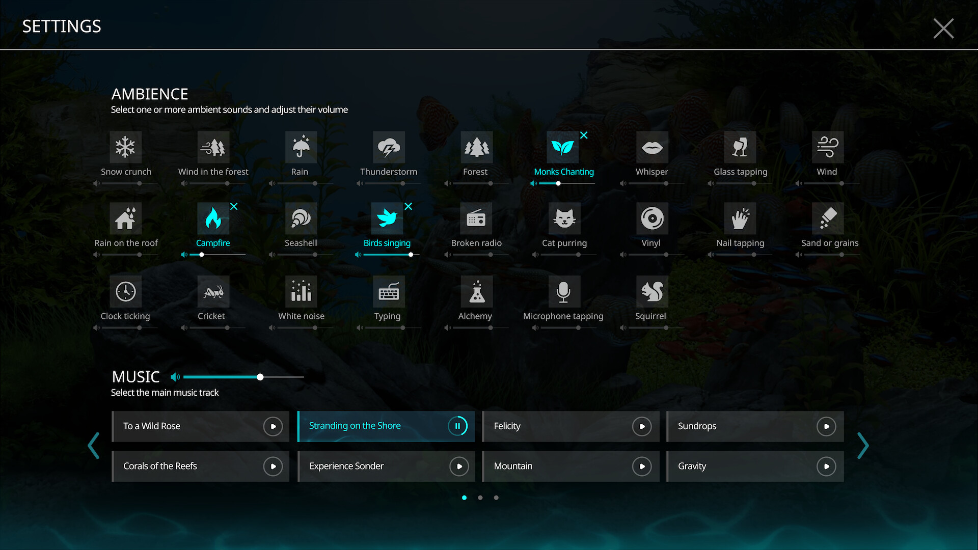 禅意水族馆/Zen Aquarium