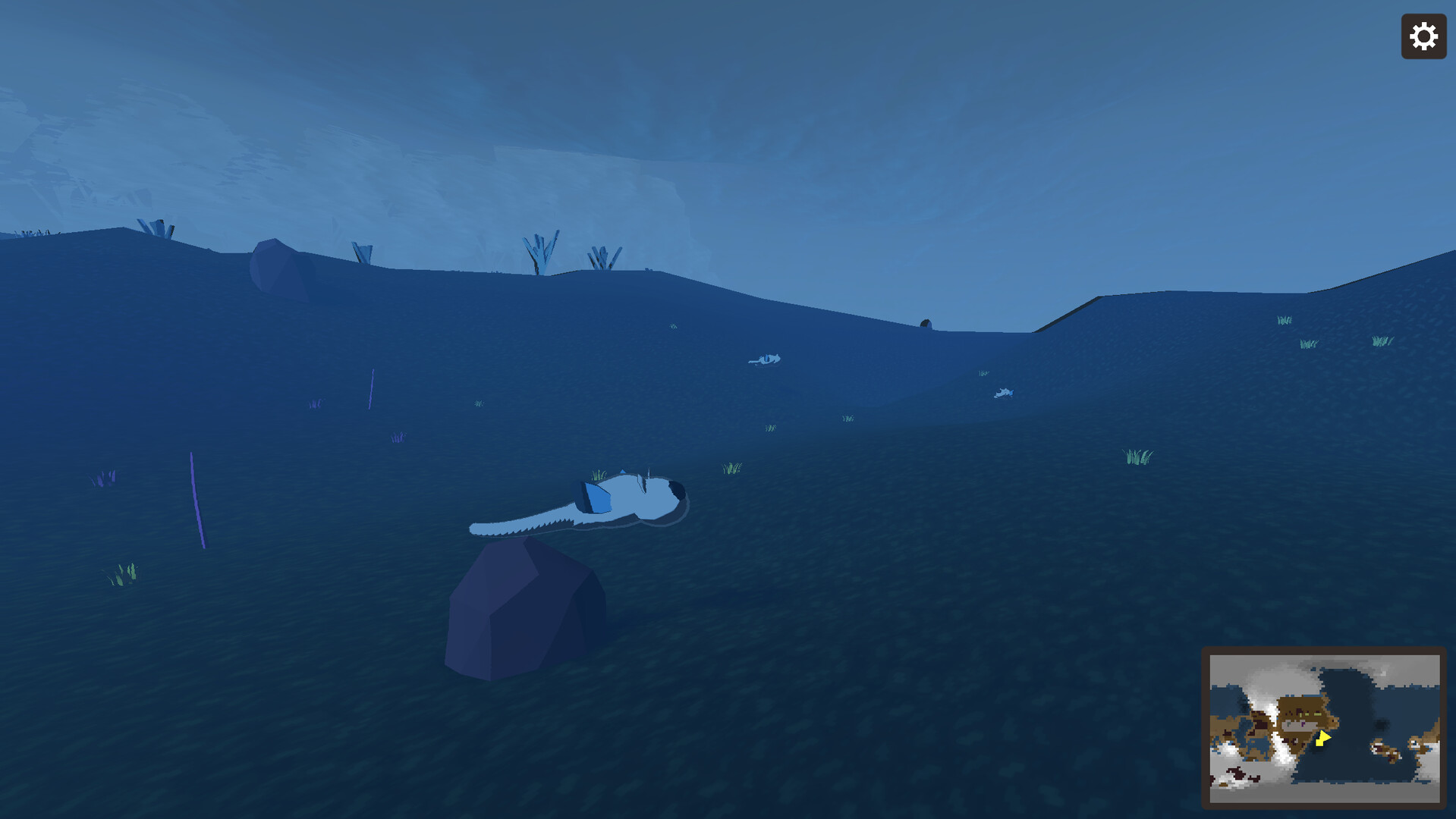 星球生活/Planetary Life