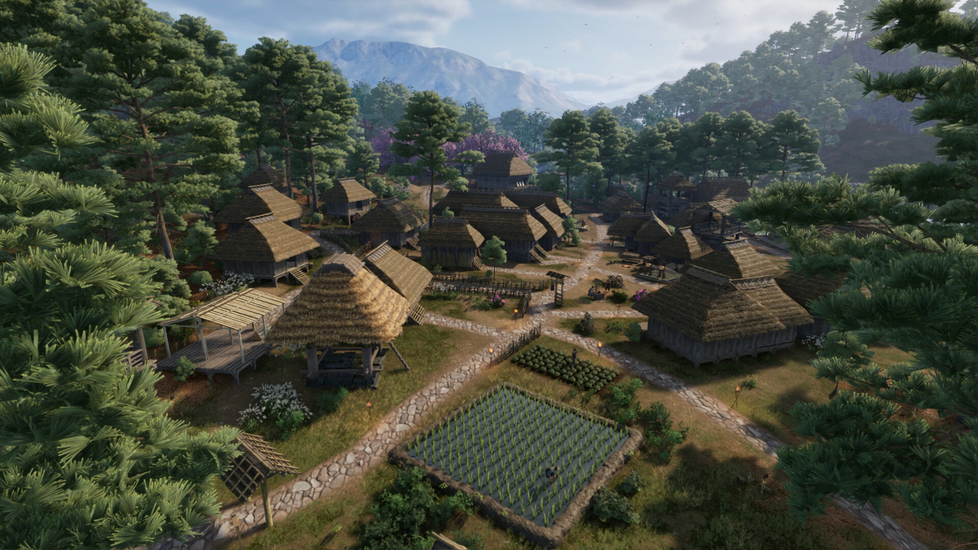 战国王朝/Sengoku Dynasty