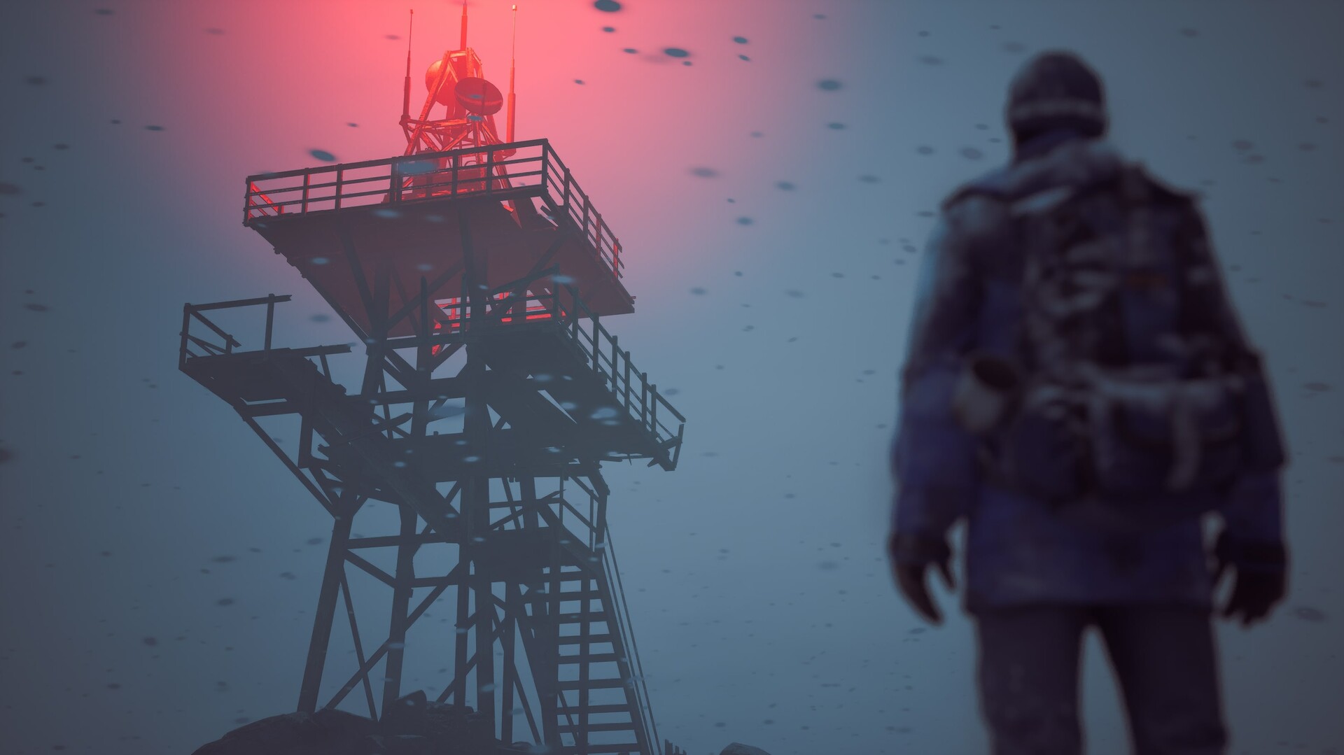 冬日幸存者/Winter Survival