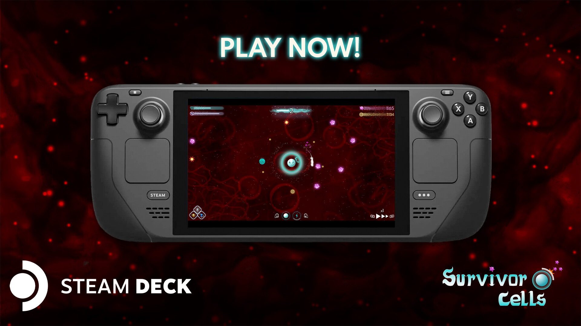 1715598848420298.jpg 存活细胞/Survivor Cells