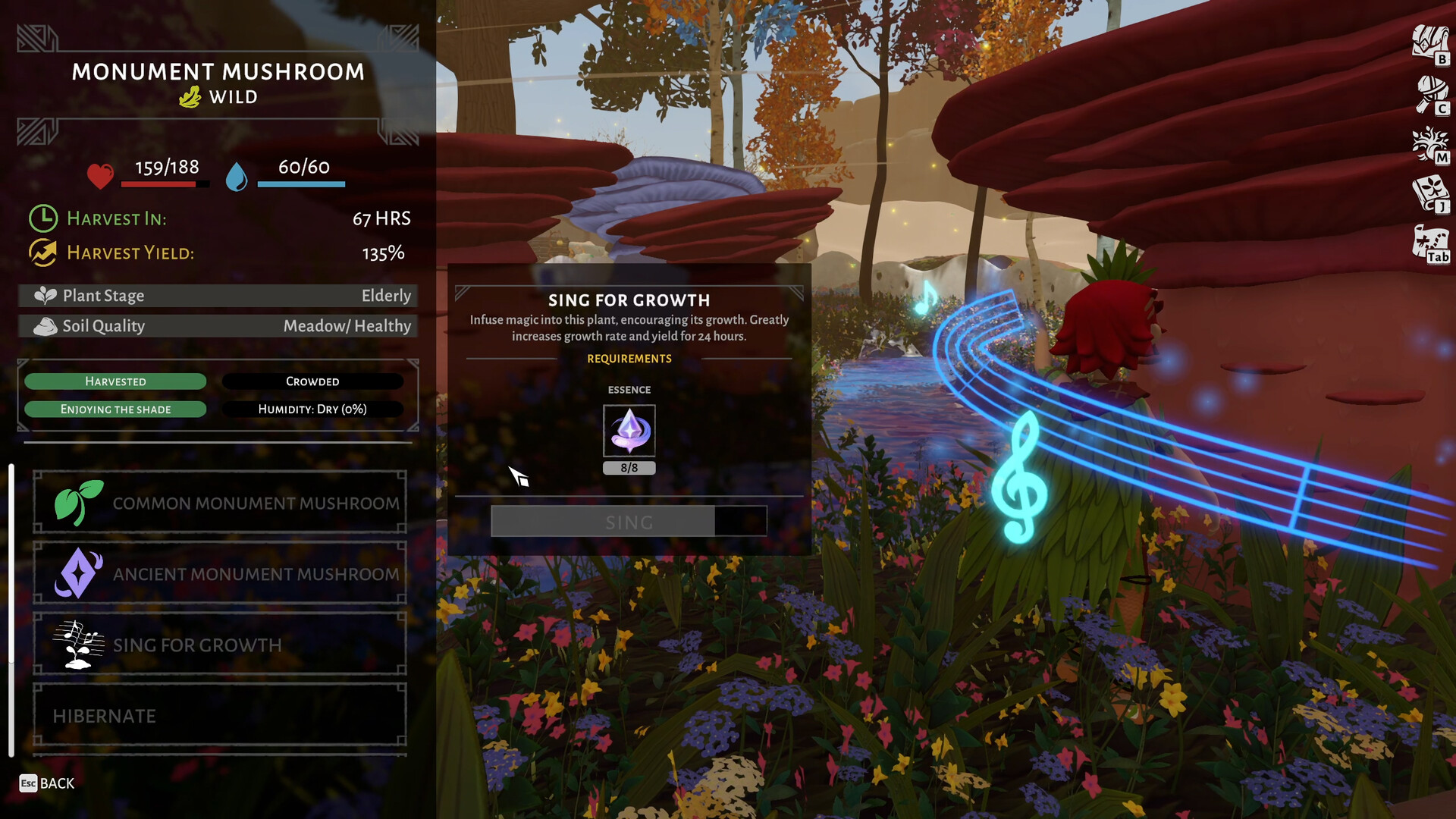 荒原疗者/Wildmender