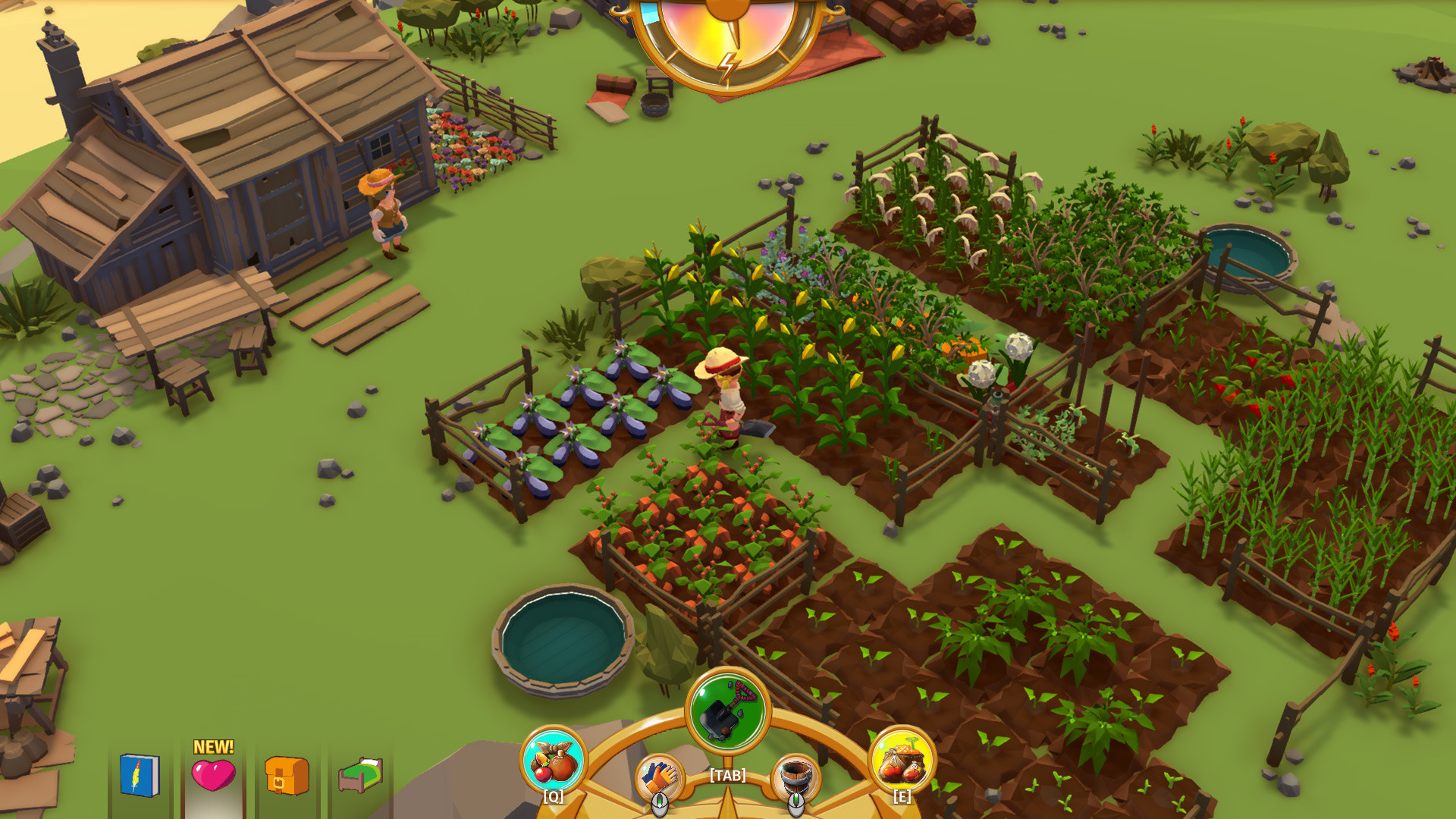 落难航船：诅咒之岛的探险者/Stranded Sails - Explorers of the Cursed Islands