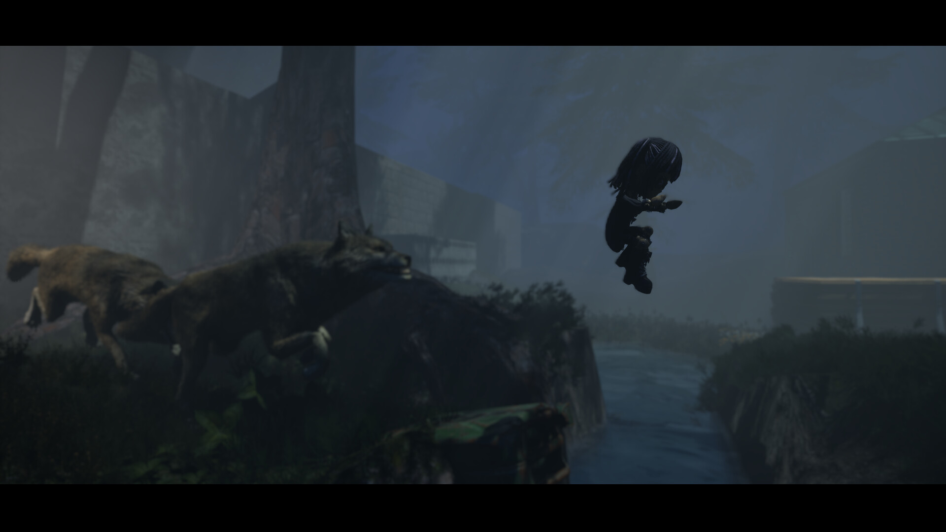 人偶回来了/Doll is Back