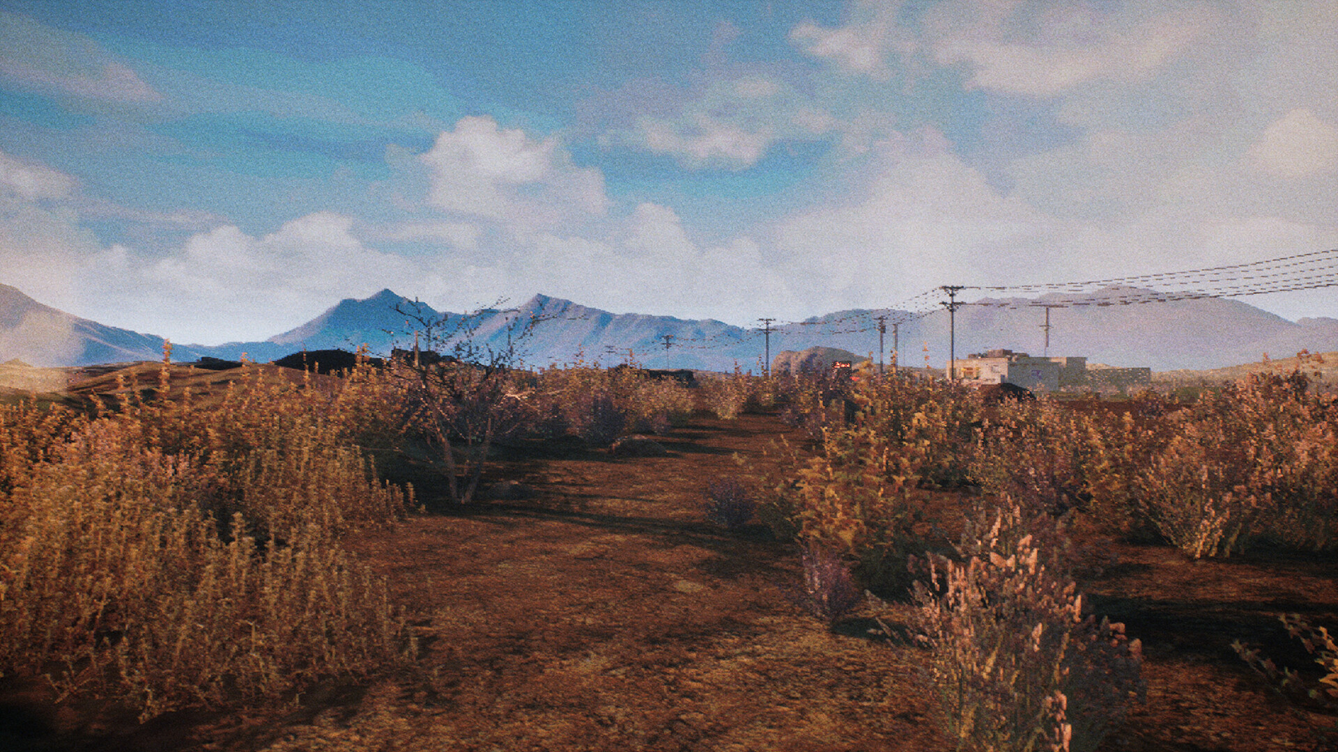 末日等待/While We Wait Here