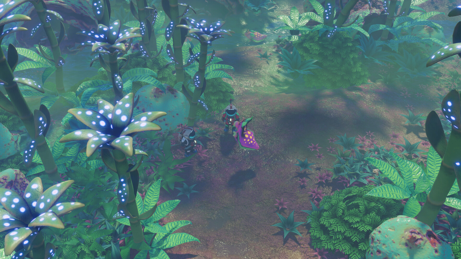 太空地产/Space for Sale