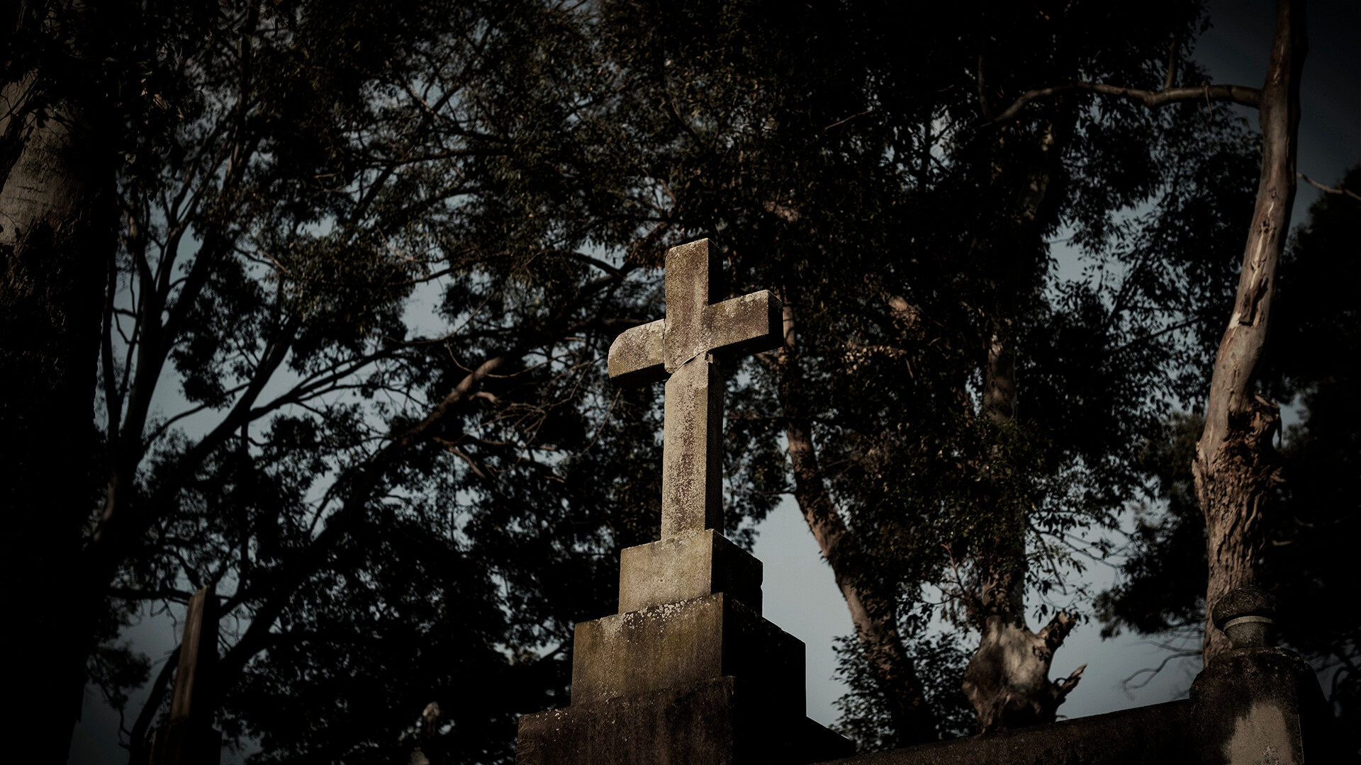 ASZG项目/ASZG Project