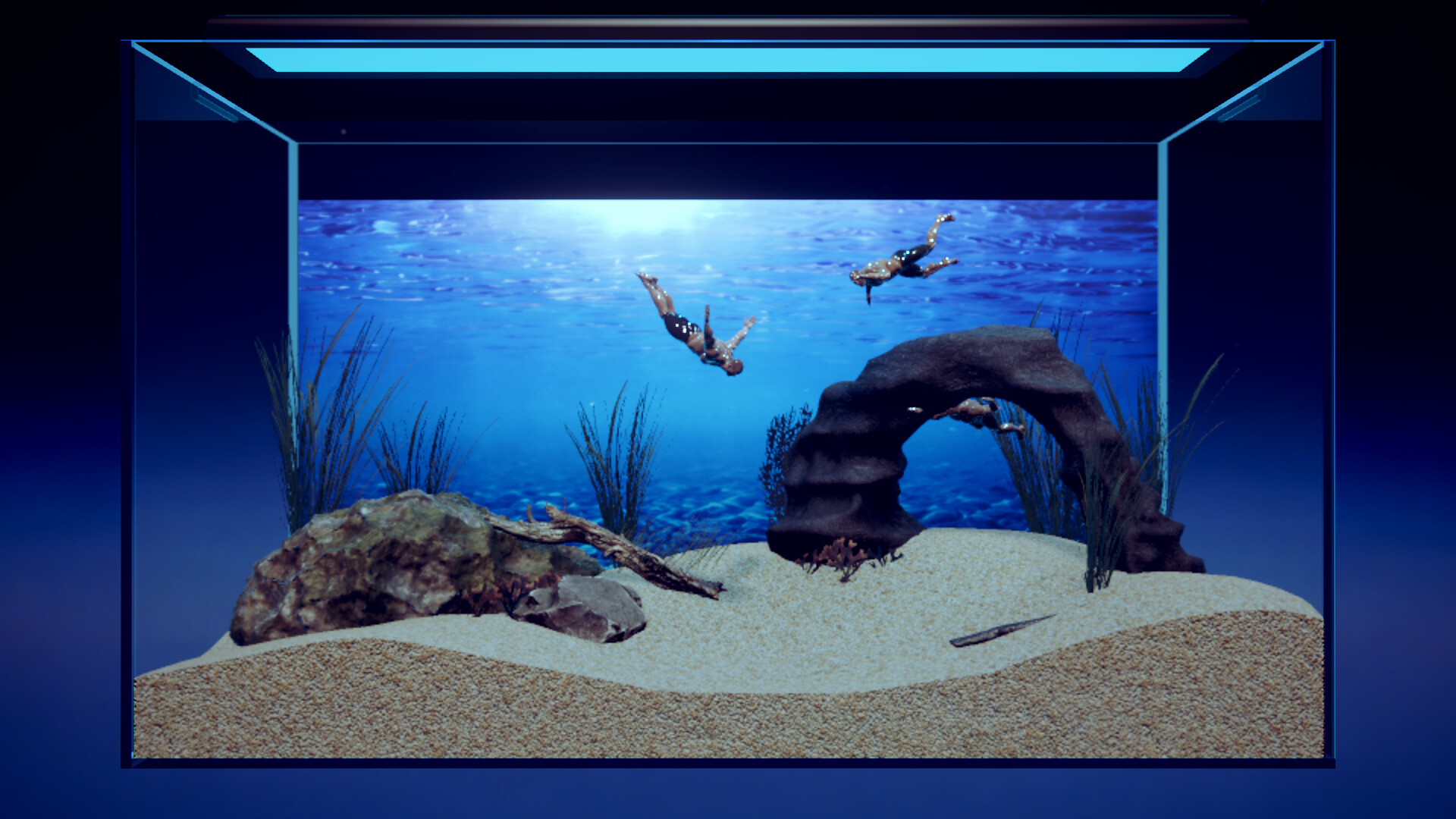 壮士水族馆 -肌肉水族馆模拟器-/Machorium -Muscle Aquarium Simulator-