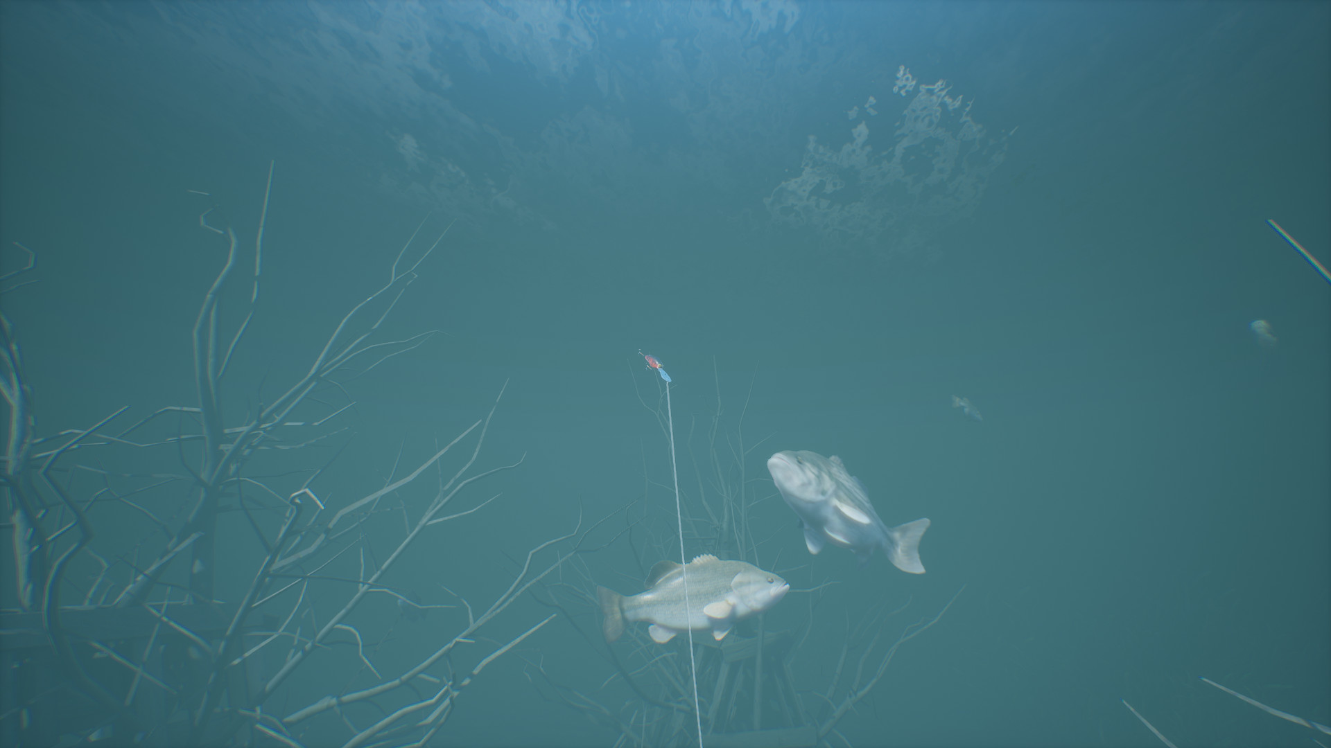 鲈鱼大师赛2022/Bassmaster Fishing 2022