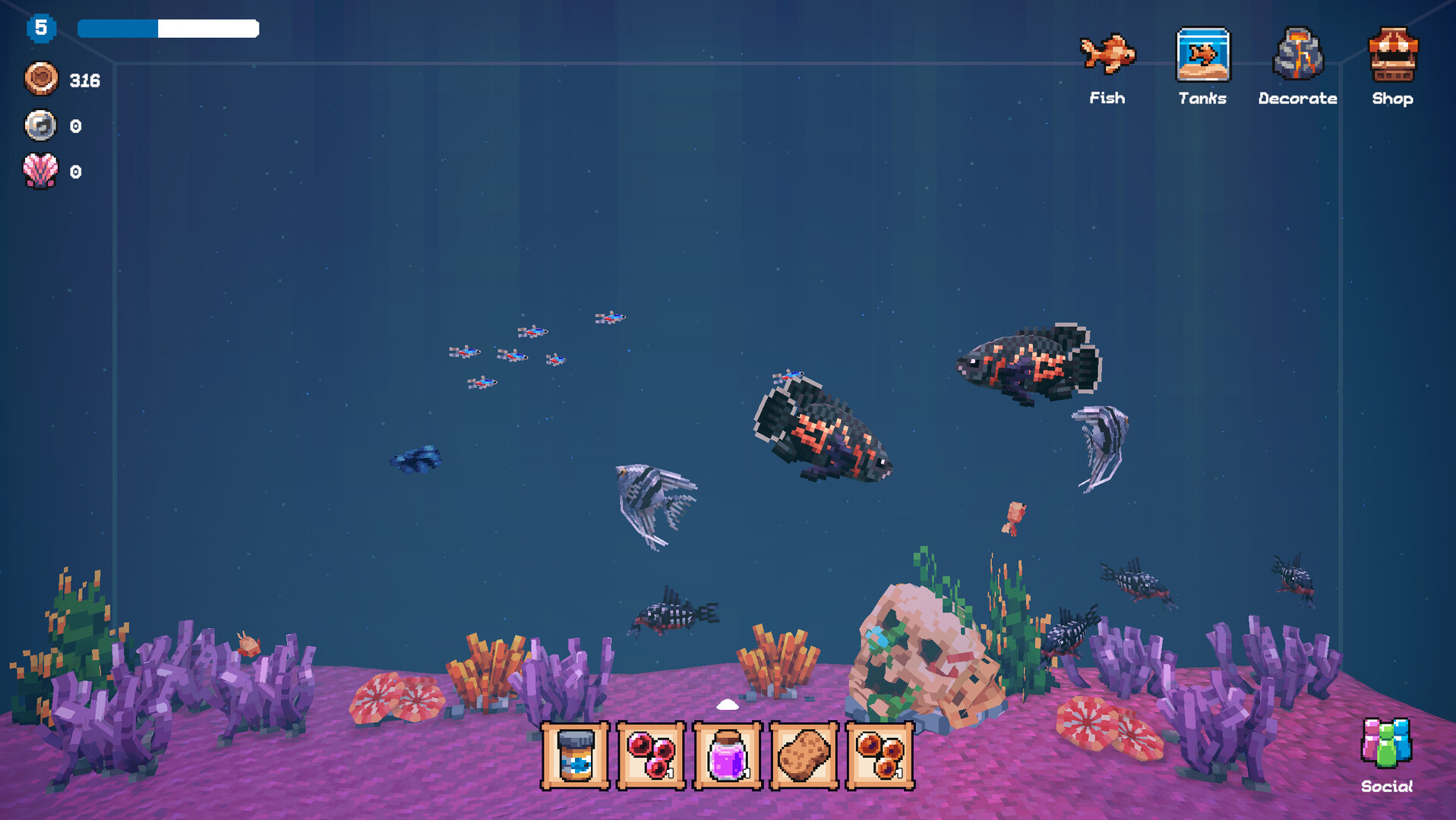 全球鱼友俱乐部：放置好时光/Tiny Aquarium: Social Fishkeeping