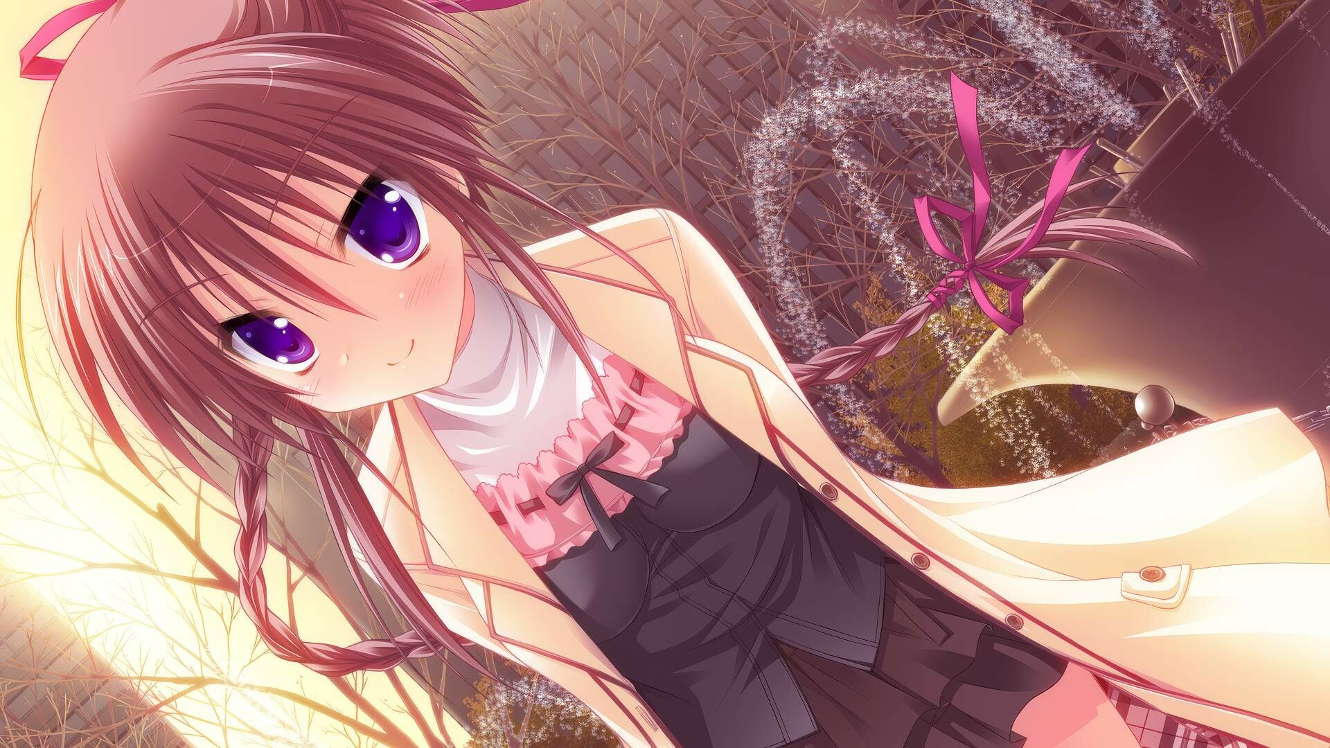 初雪樱/Hatsuyuki Sakura