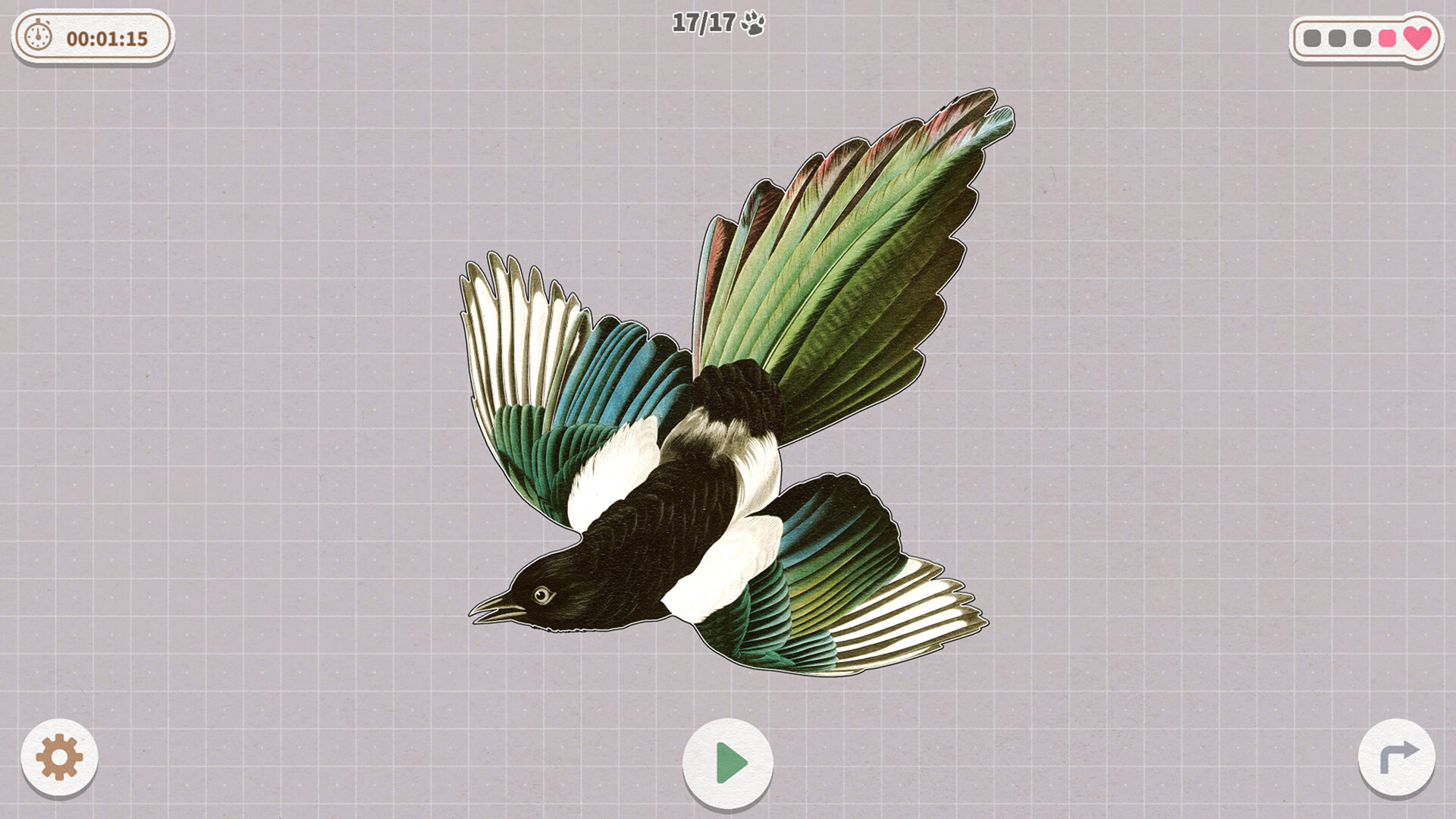挤在一起的鸟鸟/Birds Huddled Together