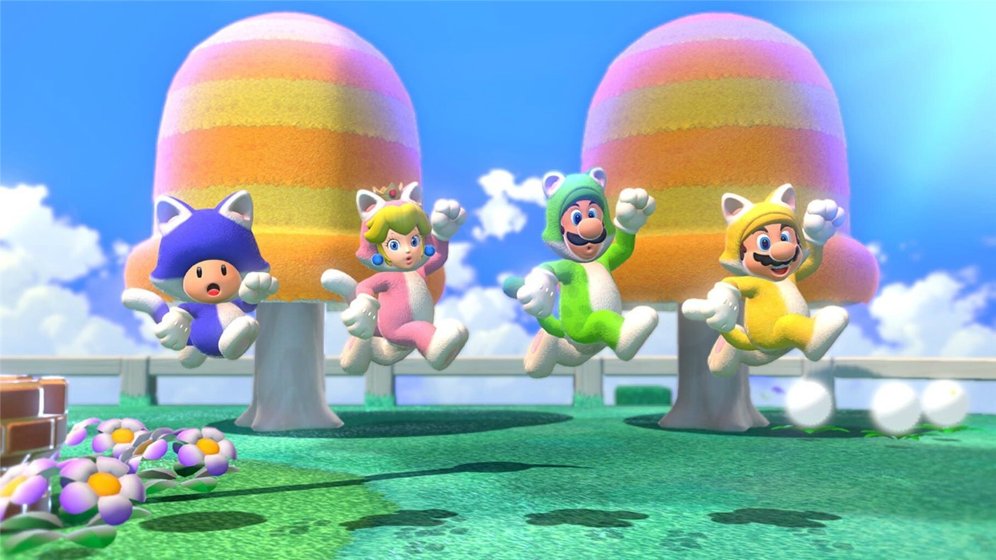 1621079740736500.jpg 超级马里奥3D世界+狂怒世界/Super Mario 3D World + Bowser's Fury