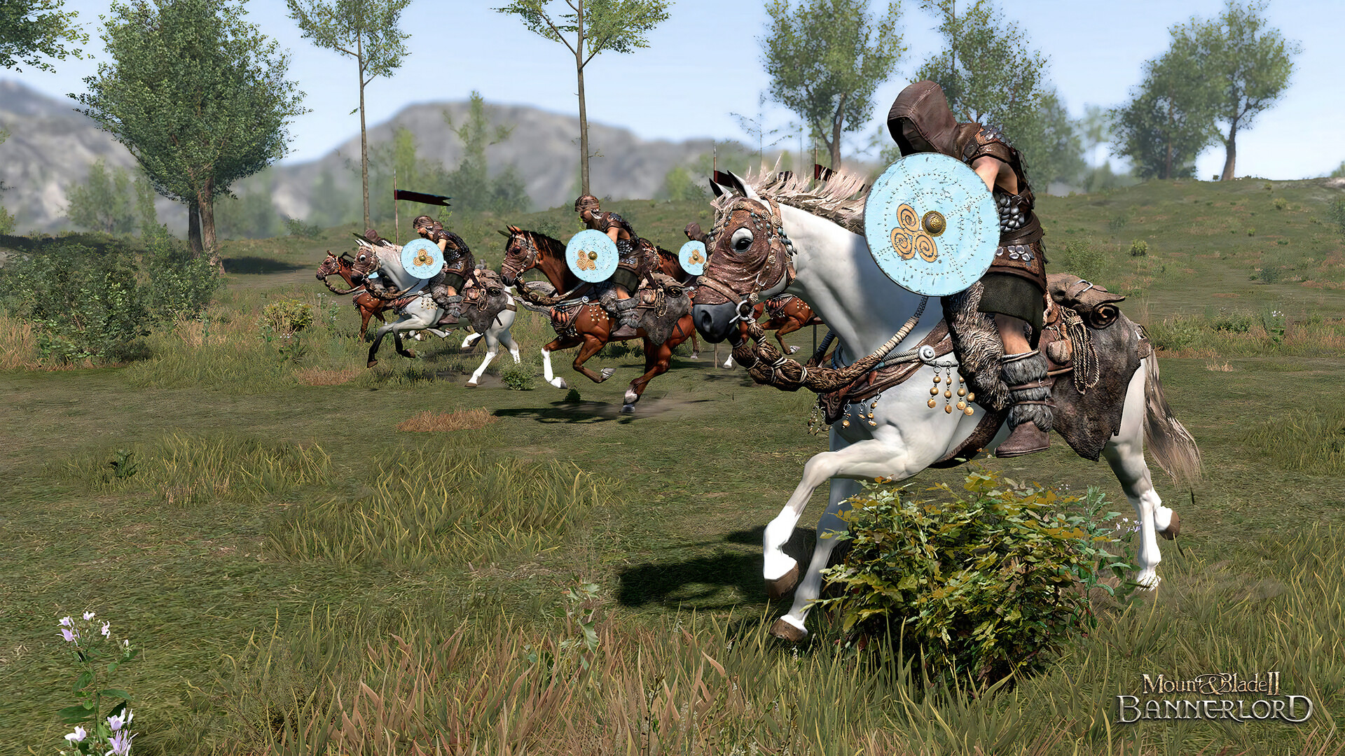 骑马与砍杀2：霸主/Mount & Blade II: Bannerlord/支持网络联机