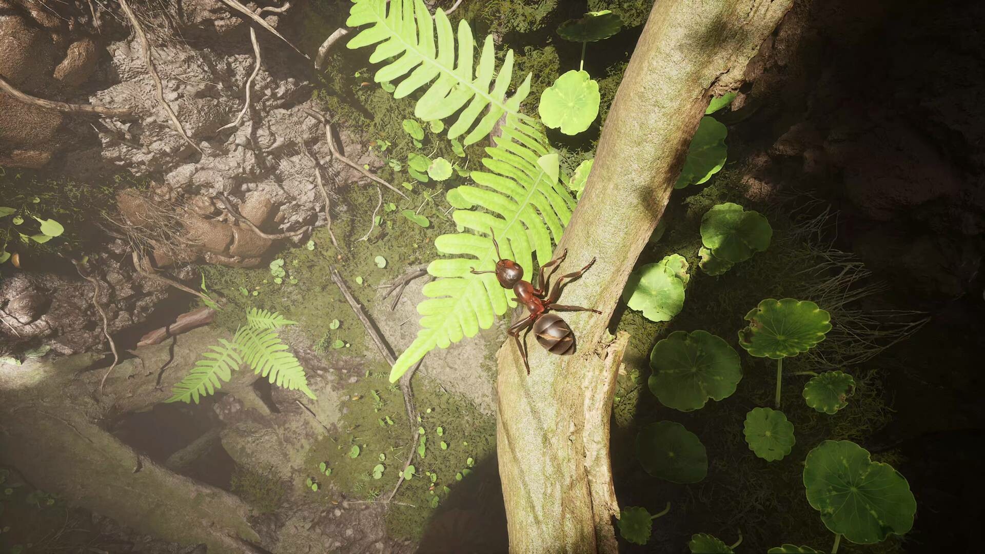 1730730827645159.jpg 蚂蚁帝国/Empire of the Ants/支持网络联机