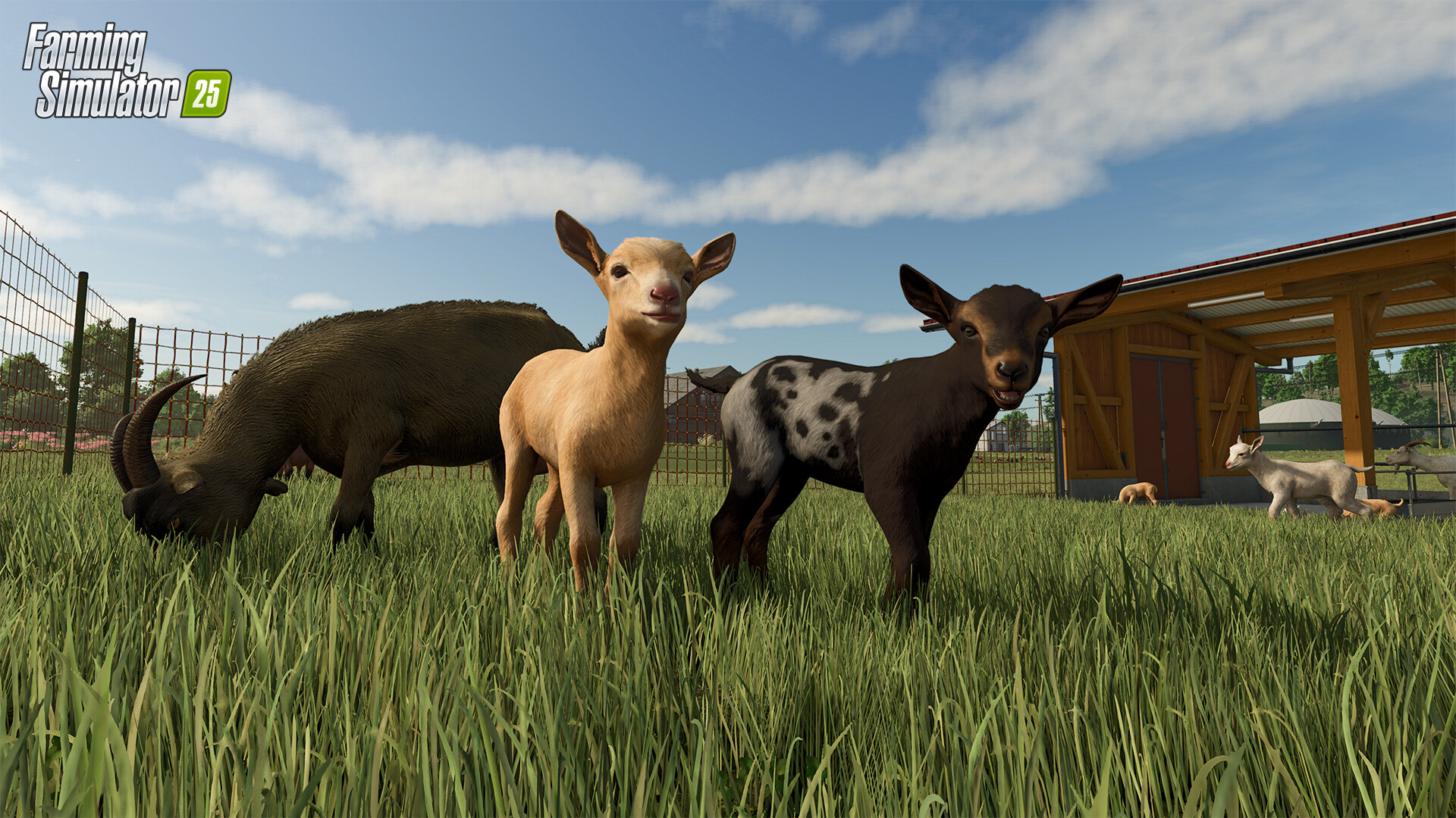 模拟农场25/Farming Simulator 25/支持网络联机