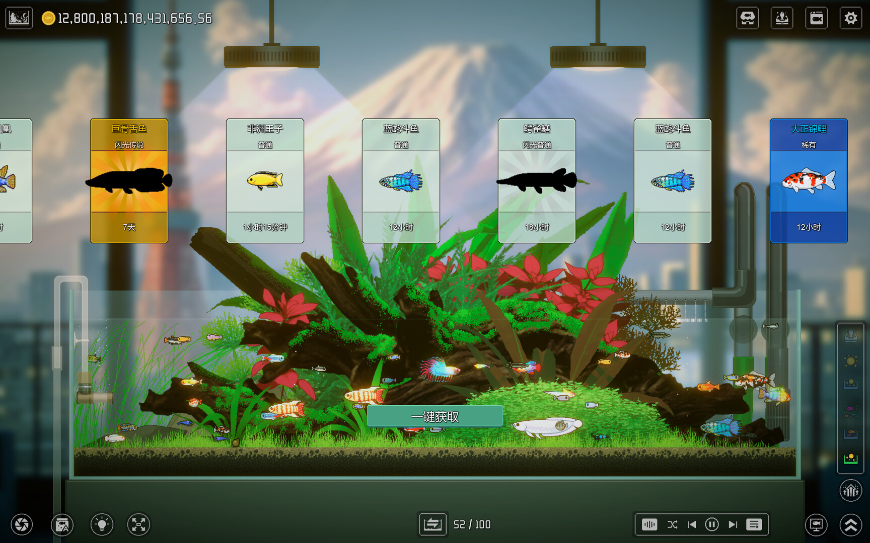 欢乐水族馆/Joyquarium